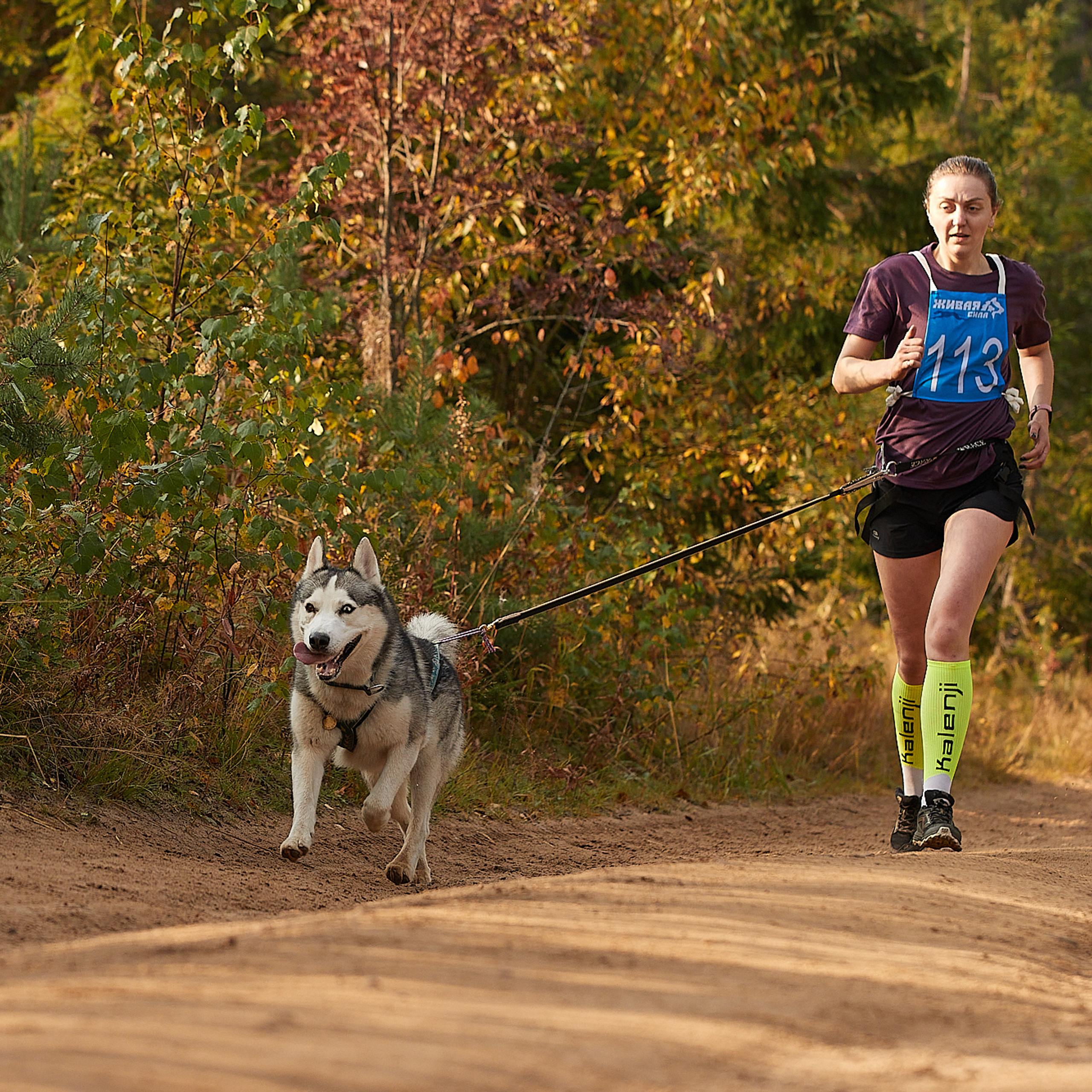 ЧЕМПИОНАТ РОССИИ РКФ 27 сентября 2020 г., 2й день. ФОТОГРАФ-АНИМАЛИСТ l LANA POLYAKOVA