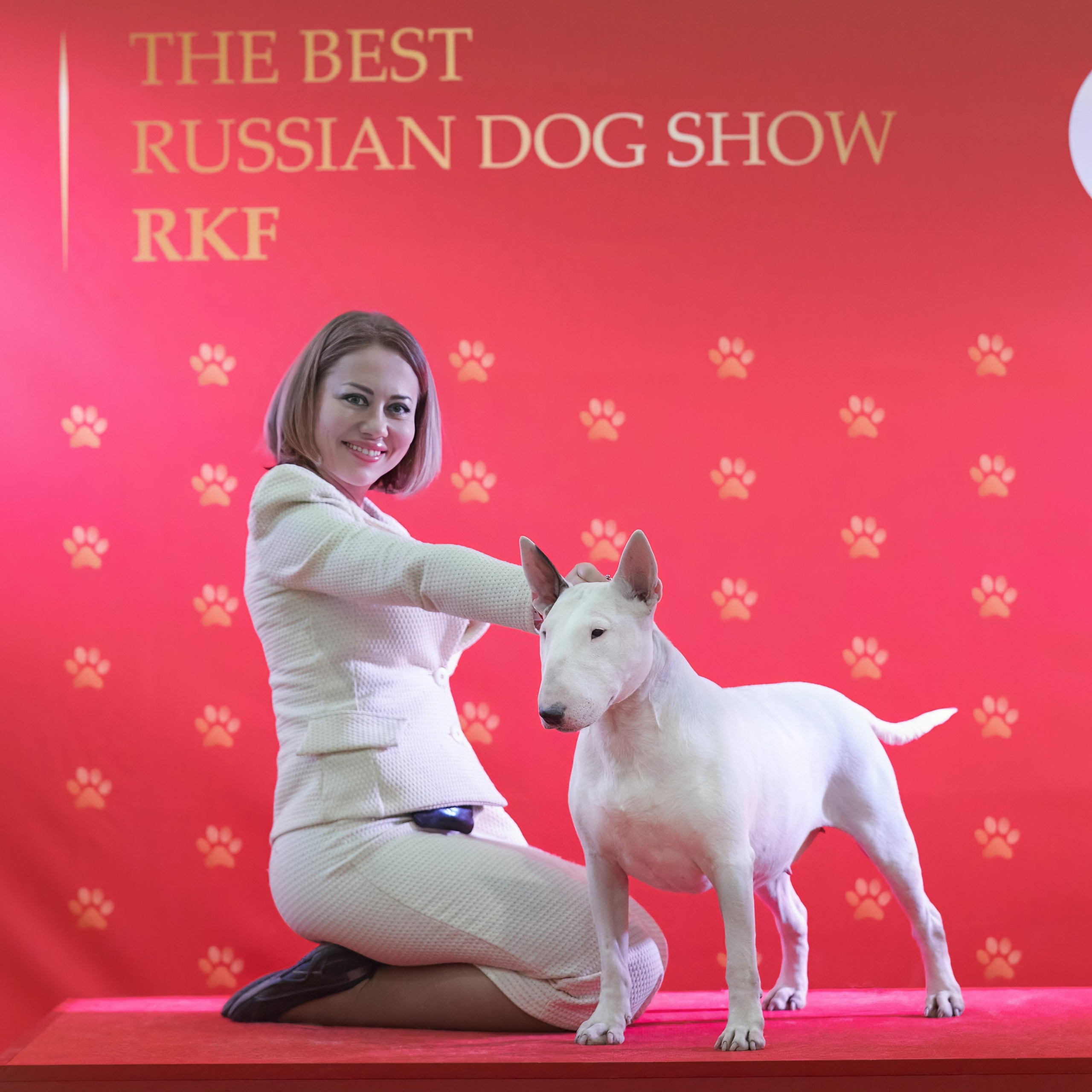 Шоу чемпионов «ЛУЧШИЕ СОБАКИ РОССИИ». ФОТОГРАФ-АНИМАЛИСТ l LANA POLYAKOVA