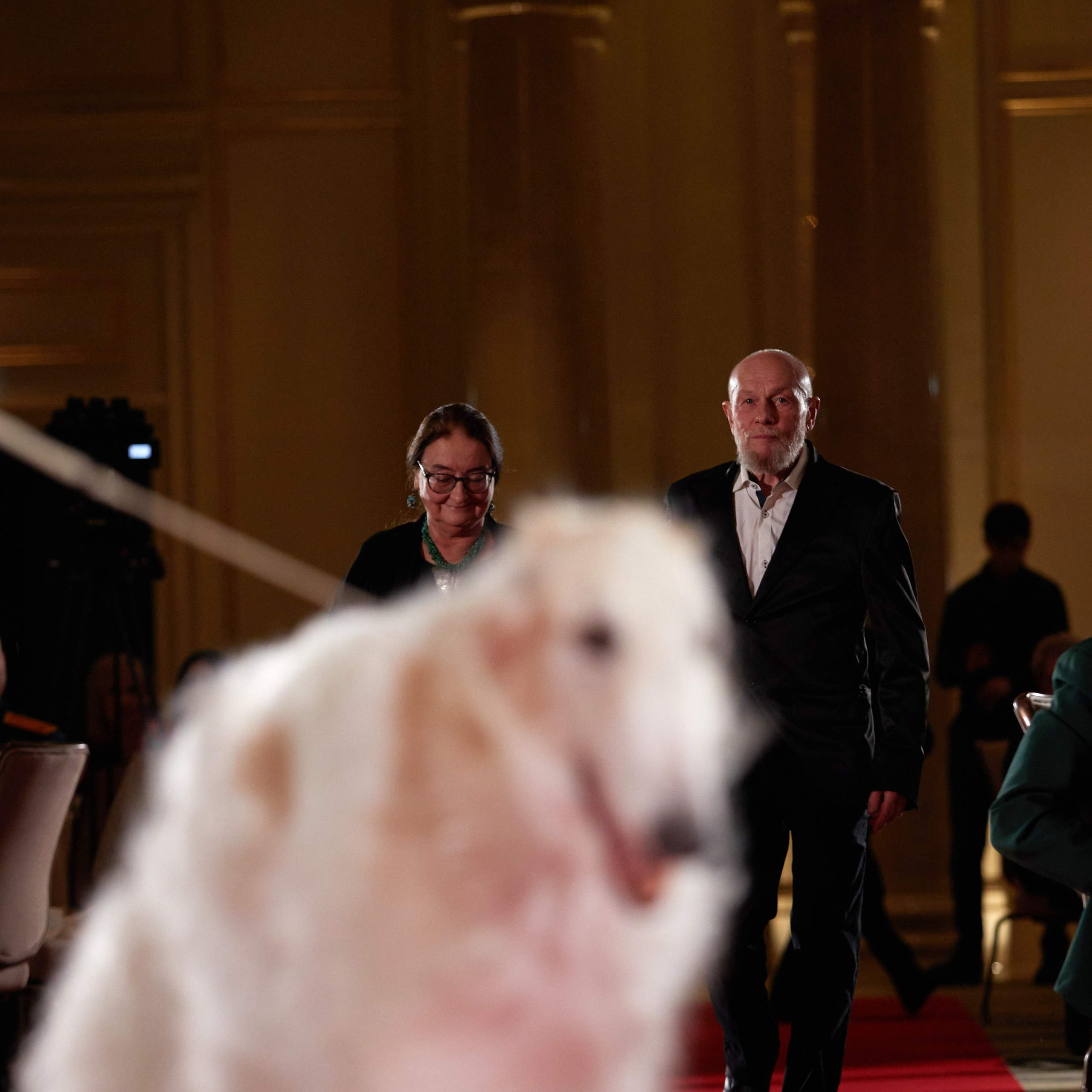 Репортаж с церемонии «BEST RUSSIAN DOG 2023». ФОТОГРАФ-АНИМАЛИСТ l LANA POLYAKOVA