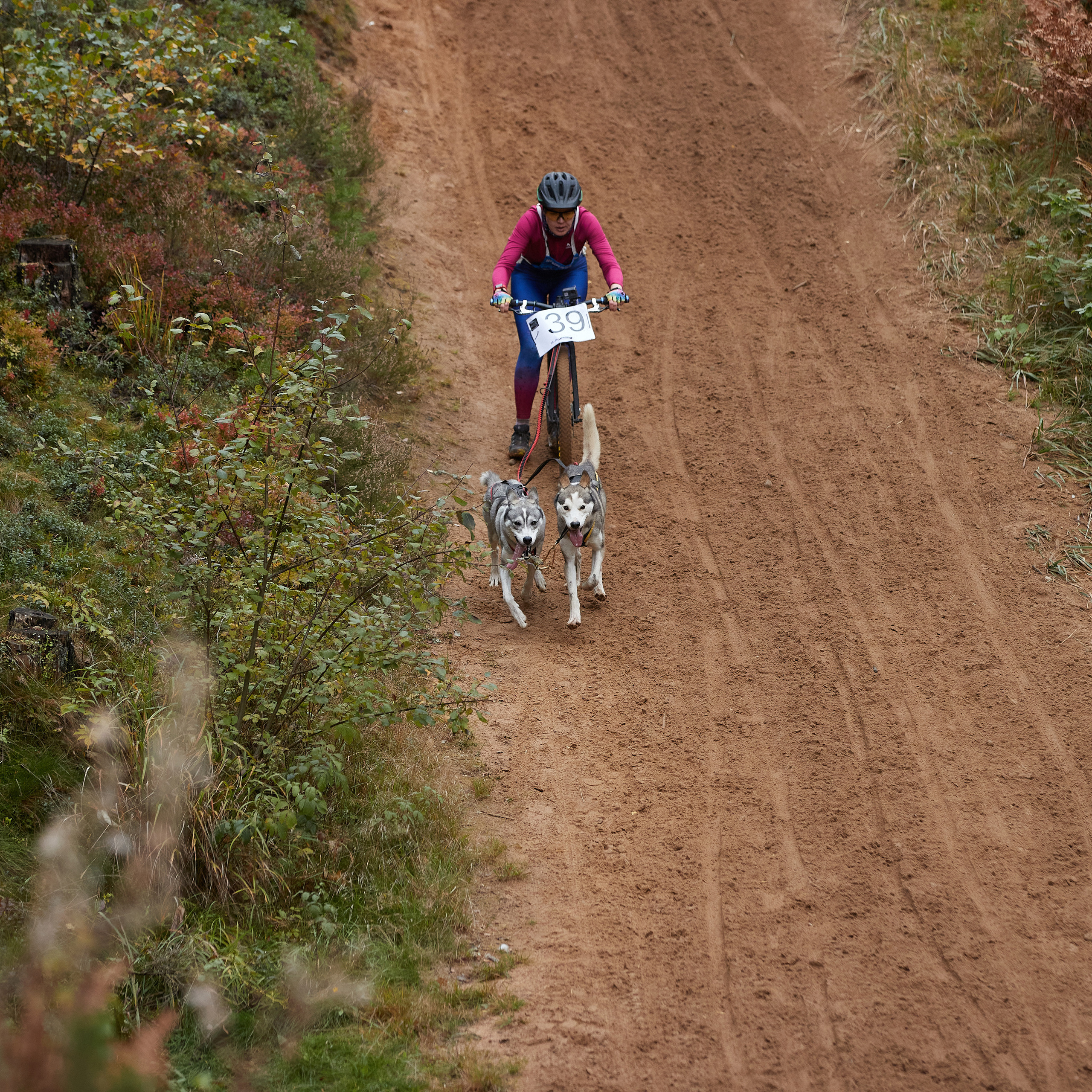 ЧЕМПИОНАТ РОССИИ РКФ 25–26 сентября 2021 г. ФОТОГРАФ-АНИМАЛИСТ l LANA POLYAKOVA