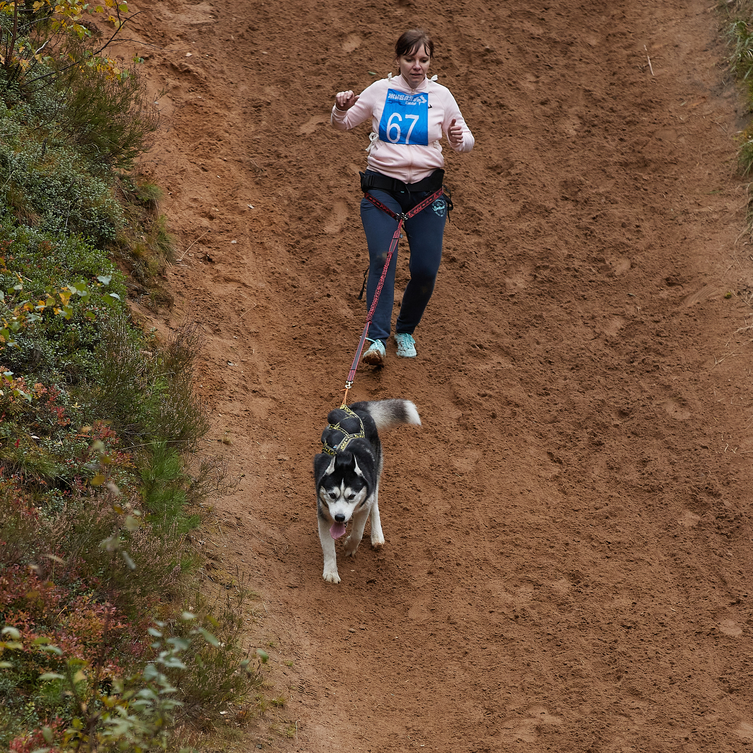 ЧЕМПИОНАТ РОССИИ РКФ 25–26 сентября 2021 г. ФОТОГРАФ-АНИМАЛИСТ l LANA POLYAKOVA