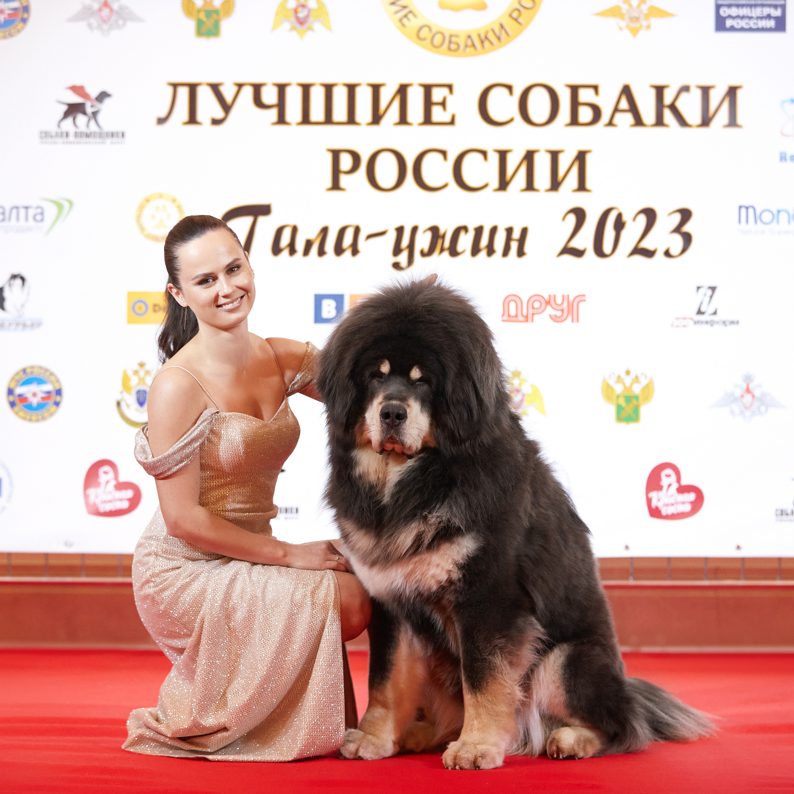 Репортаж с церемонии «BEST RUSSIAN DOG 2022». ФОТОГРАФ-АНИМАЛИСТ l LANA POLYAKOVA
