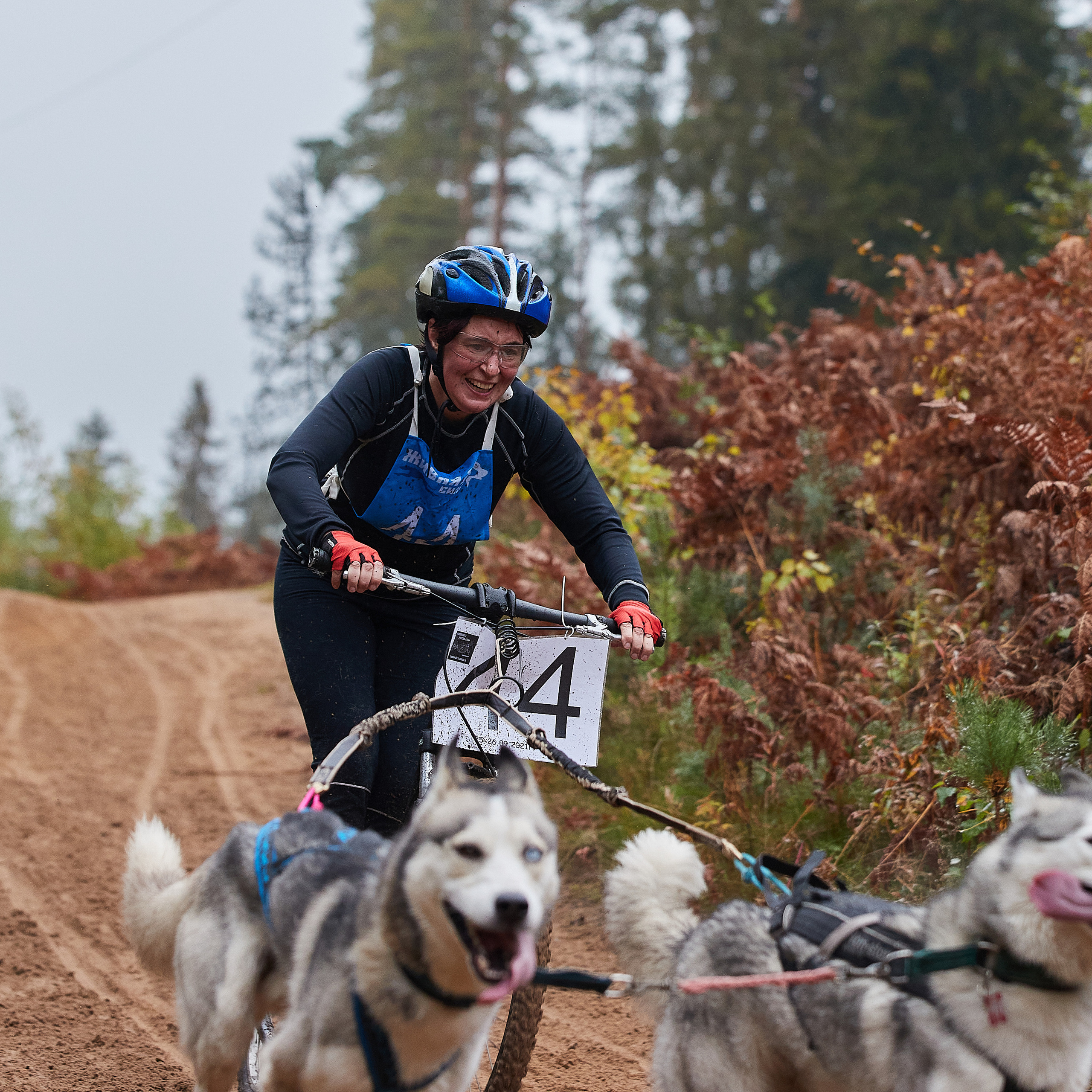 ЧЕМПИОНАТ РОССИИ РКФ 25–26 сентября 2021 г. ФОТОГРАФ-АНИМАЛИСТ l LANA POLYAKOVA