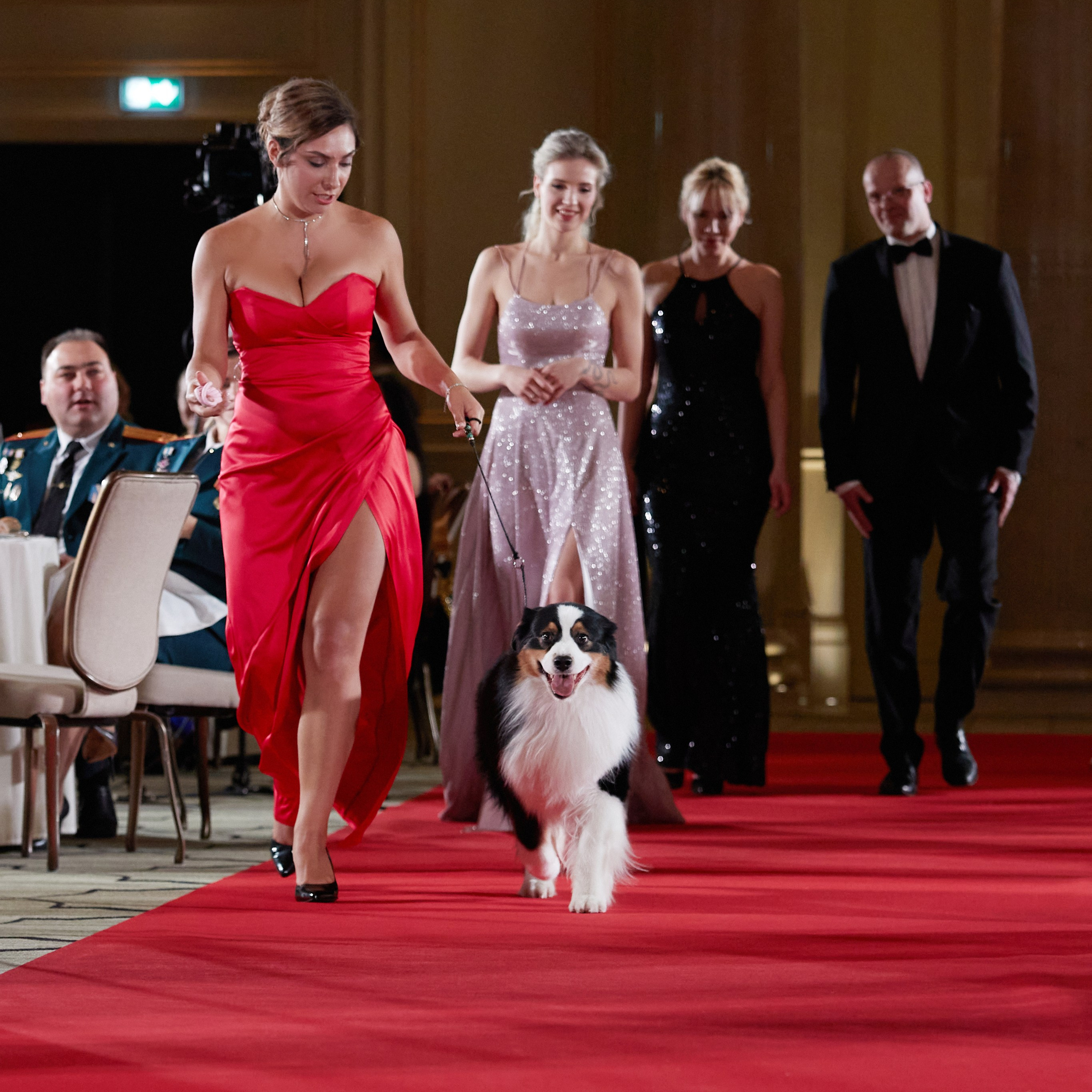 Репортаж с церемонии «BEST RUSSIAN DOG 2023». ФОТОГРАФ-АНИМАЛИСТ l LANA POLYAKOVA