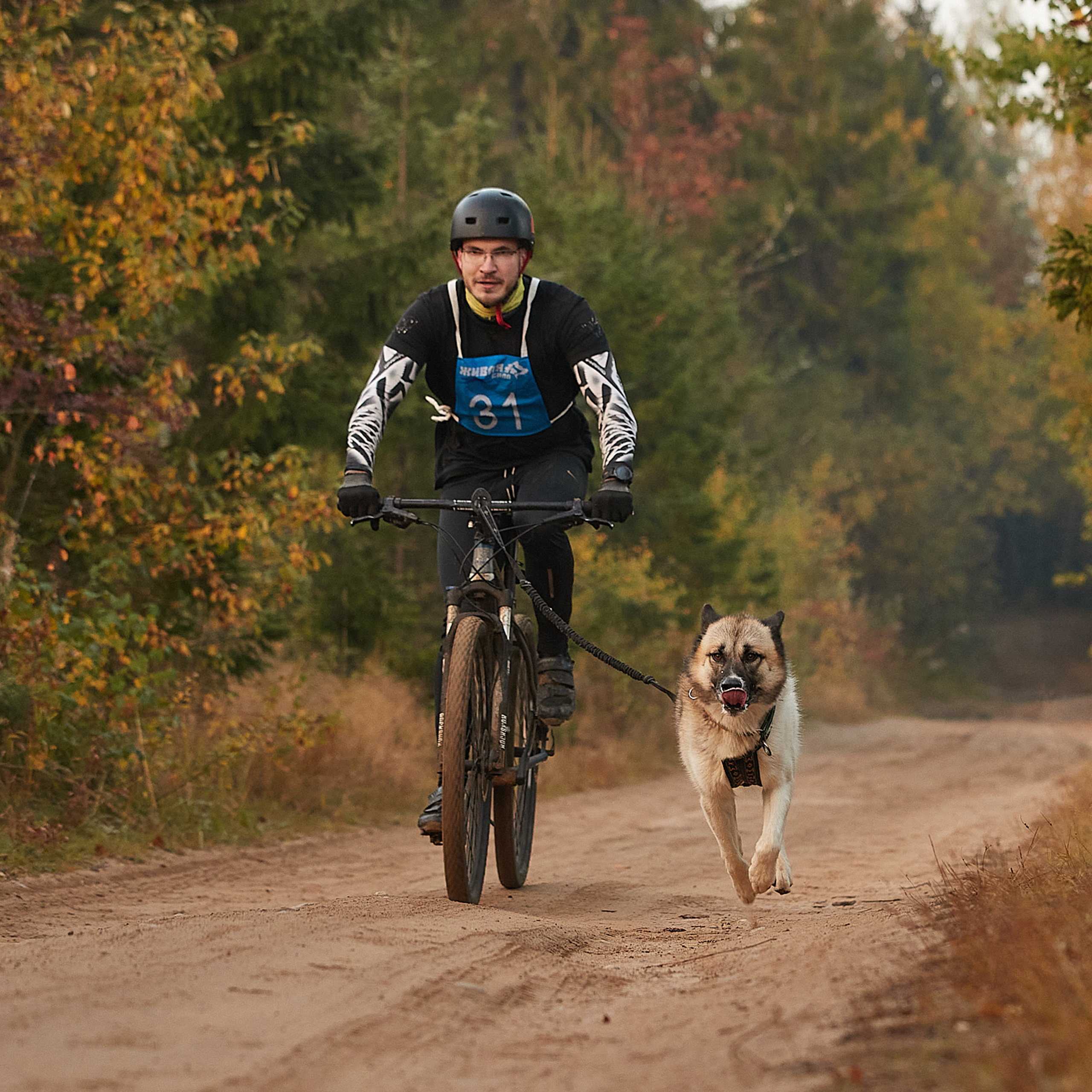 ЧЕМПИОНАТ РОССИИ РКФ 27 сентября 2020 г., 2й день. ФОТОГРАФ-АНИМАЛИСТ l LANA POLYAKOVA