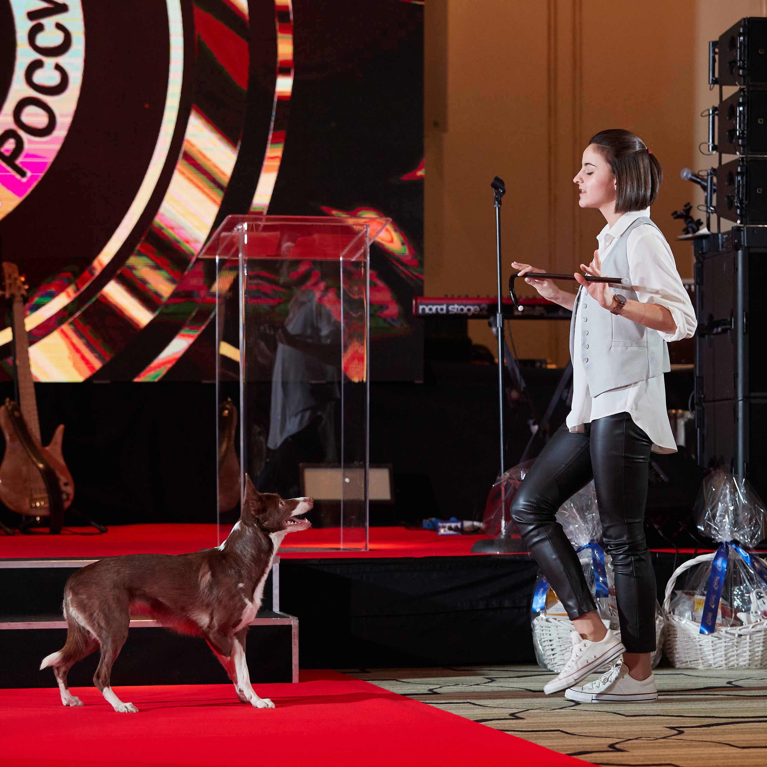 Репортаж с церемонии «BEST RUSSIAN DOG 2022». ФОТОГРАФ-АНИМАЛИСТ l LANA POLYAKOVA