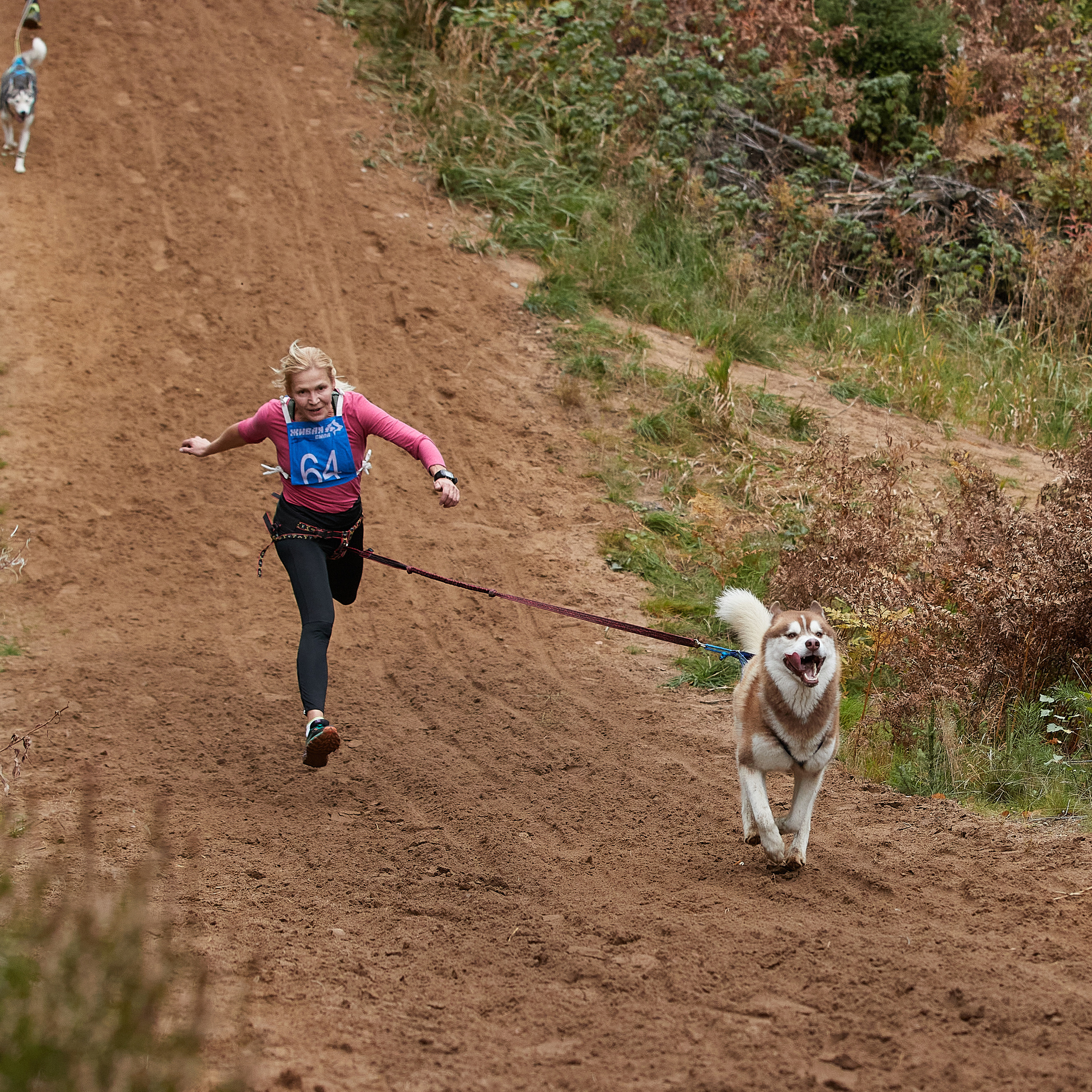 ЧЕМПИОНАТ РОССИИ РКФ 25–26 сентября 2021 г. ФОТОГРАФ-АНИМАЛИСТ l LANA POLYAKOVA
