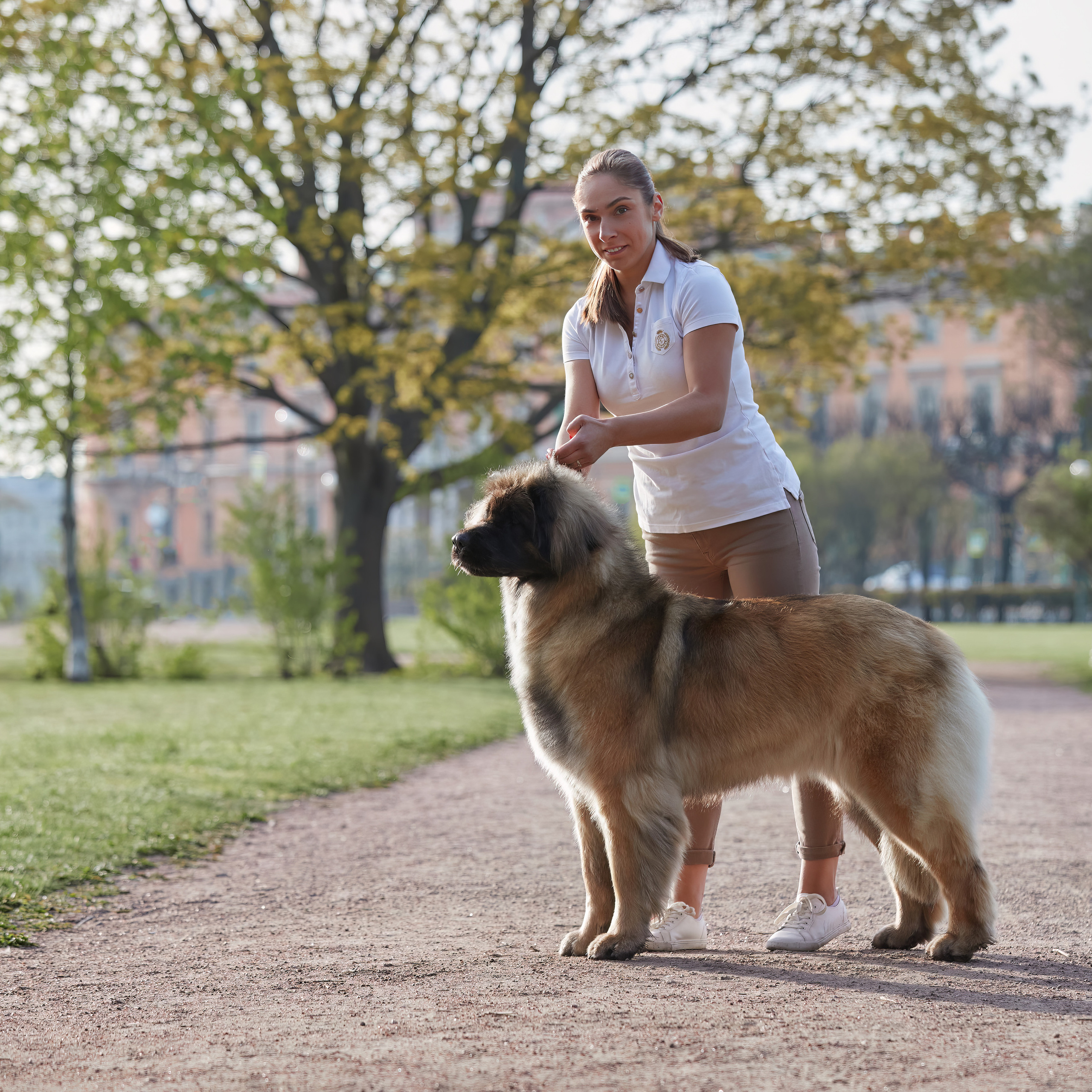 Леонбергеры в Санкт-Петербурге. ФОТОГРАФ-АНИМАЛИСТ l LANA POLYAKOVA
