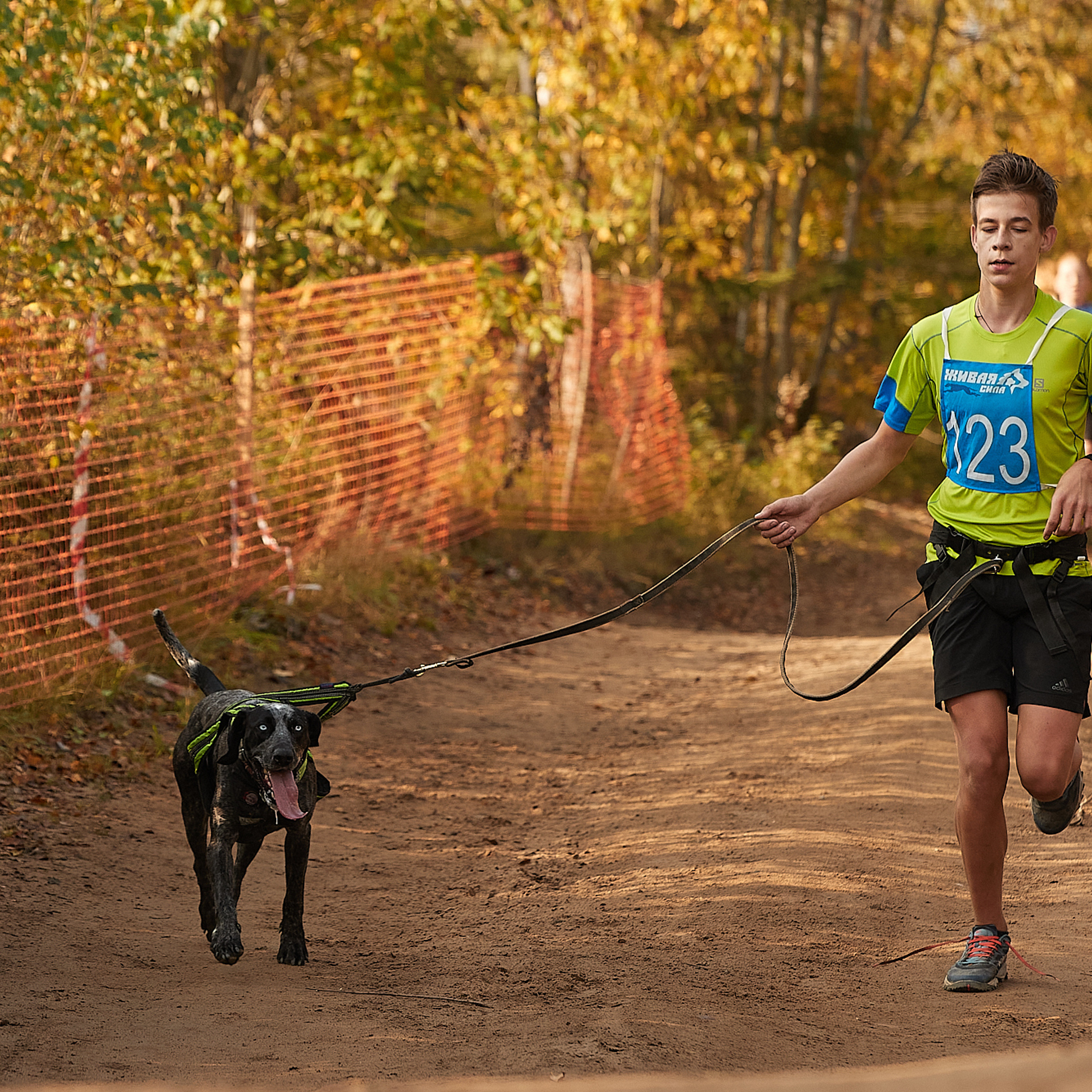 ЧЕМПИОНАТ РОССИИ РКФ 27 сентября 2020 г., 2й день. ФОТОГРАФ-АНИМАЛИСТ l LANA POLYAKOVA