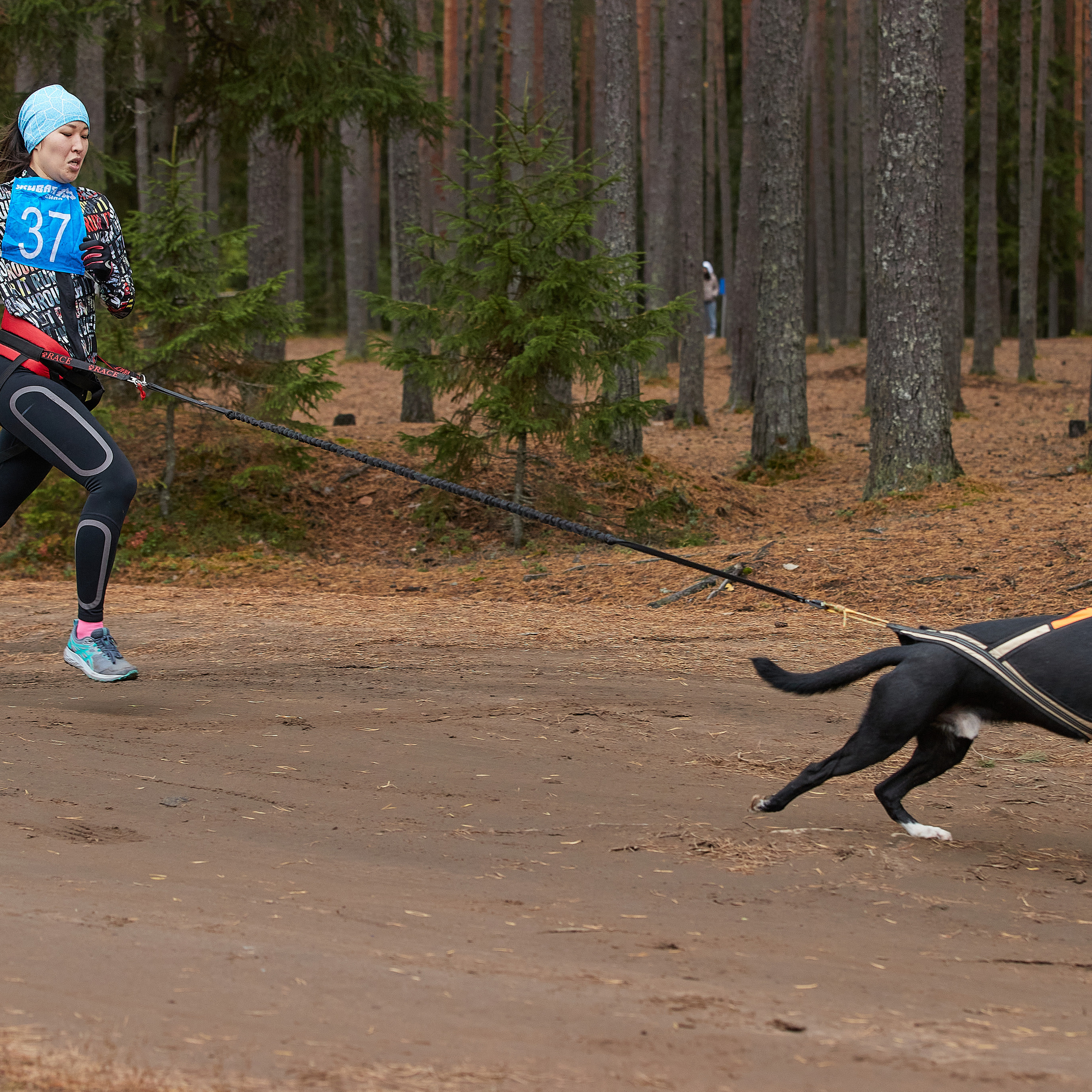 ЧЕМПИОНАТ РОССИИ РКФ 25–26 сентября 2021 г. ФОТОГРАФ-АНИМАЛИСТ l LANA POLYAKOVA