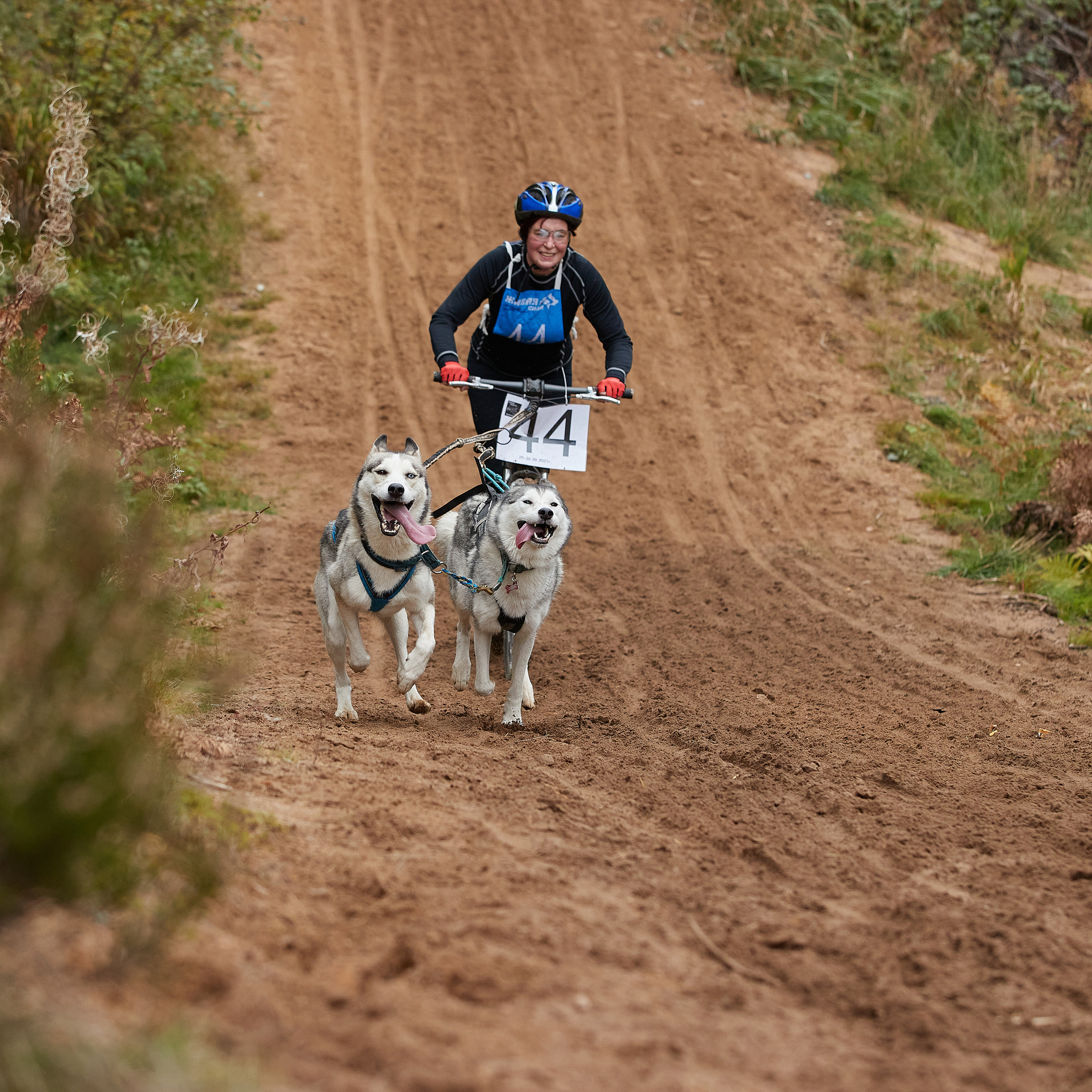 ЧЕМПИОНАТ РОССИИ РКФ 25–26 сентября 2021 г. ФОТОГРАФ-АНИМАЛИСТ l LANA POLYAKOVA