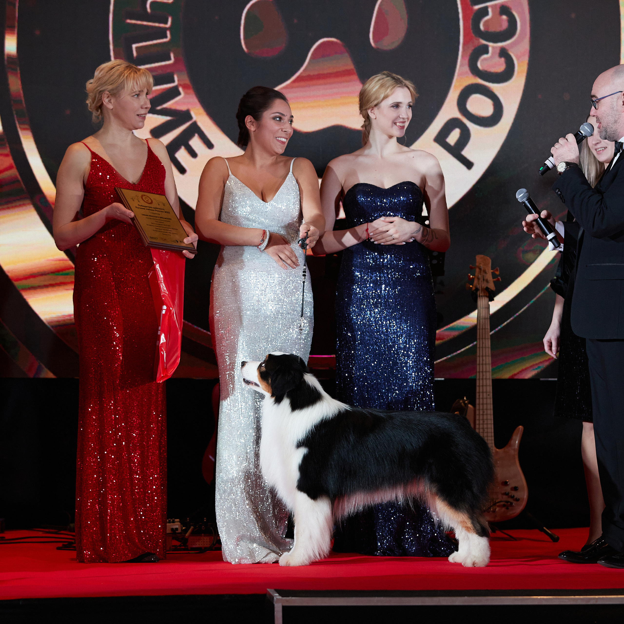 Репортаж с церемонии «BEST RUSSIAN DOG 2022». ФОТОГРАФ-АНИМАЛИСТ l LANA POLYAKOVA