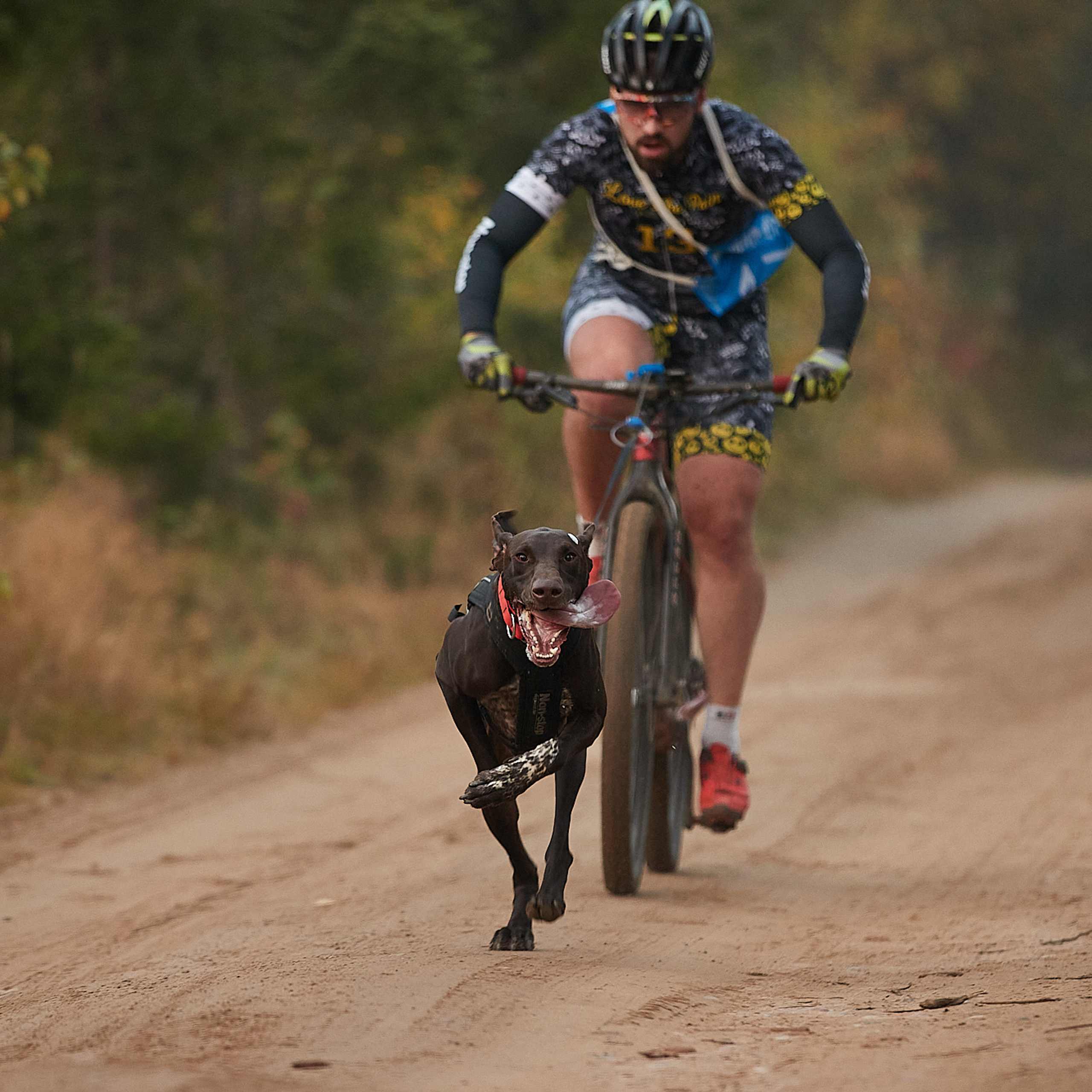 ЧЕМПИОНАТ РОССИИ РКФ 27 сентября 2020 г., 2й день. ФОТОГРАФ-АНИМАЛИСТ l LANA POLYAKOVA