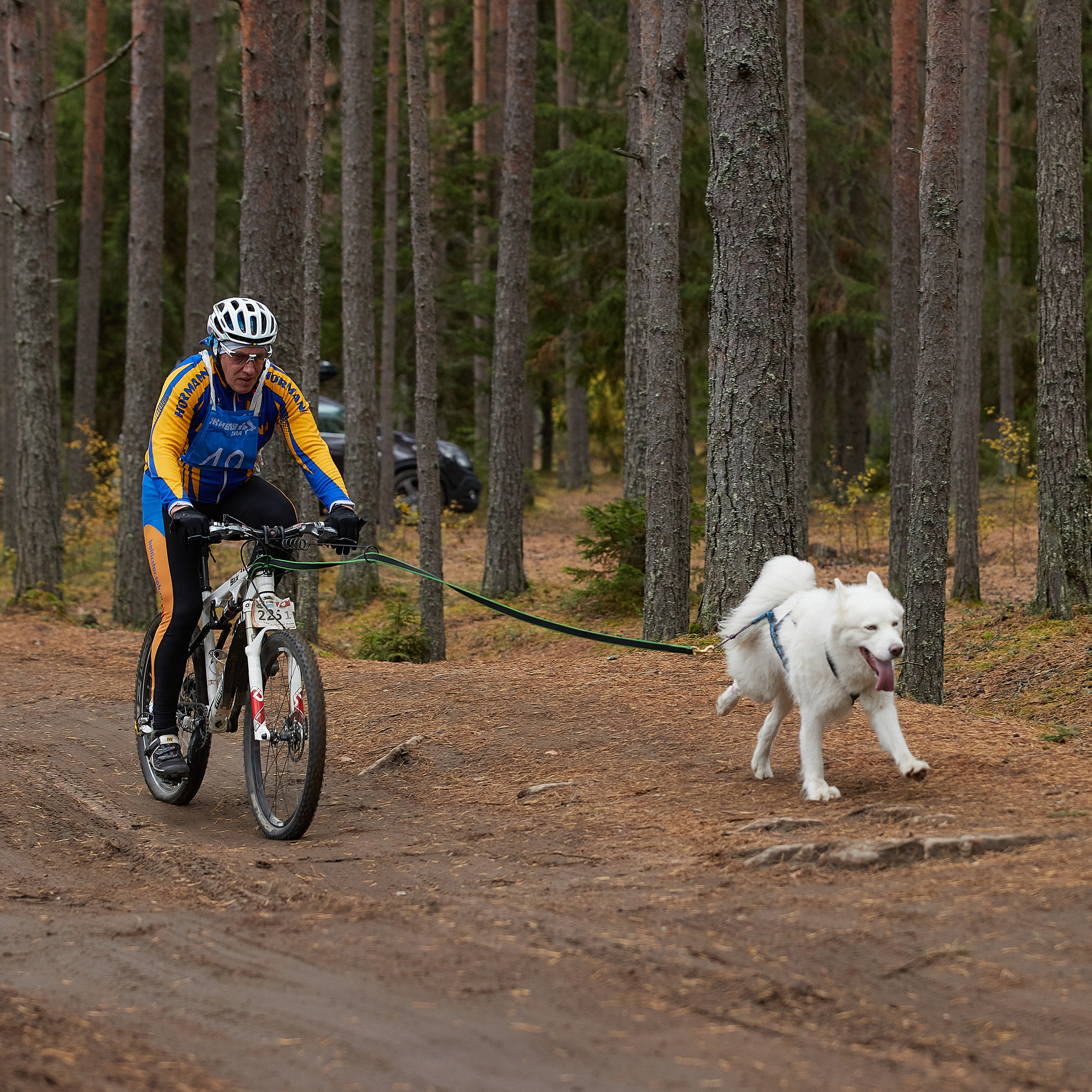 ЧЕМПИОНАТ РОССИИ РКФ 25–26 сентября 2021 г. ФОТОГРАФ-АНИМАЛИСТ l LANA POLYAKOVA
