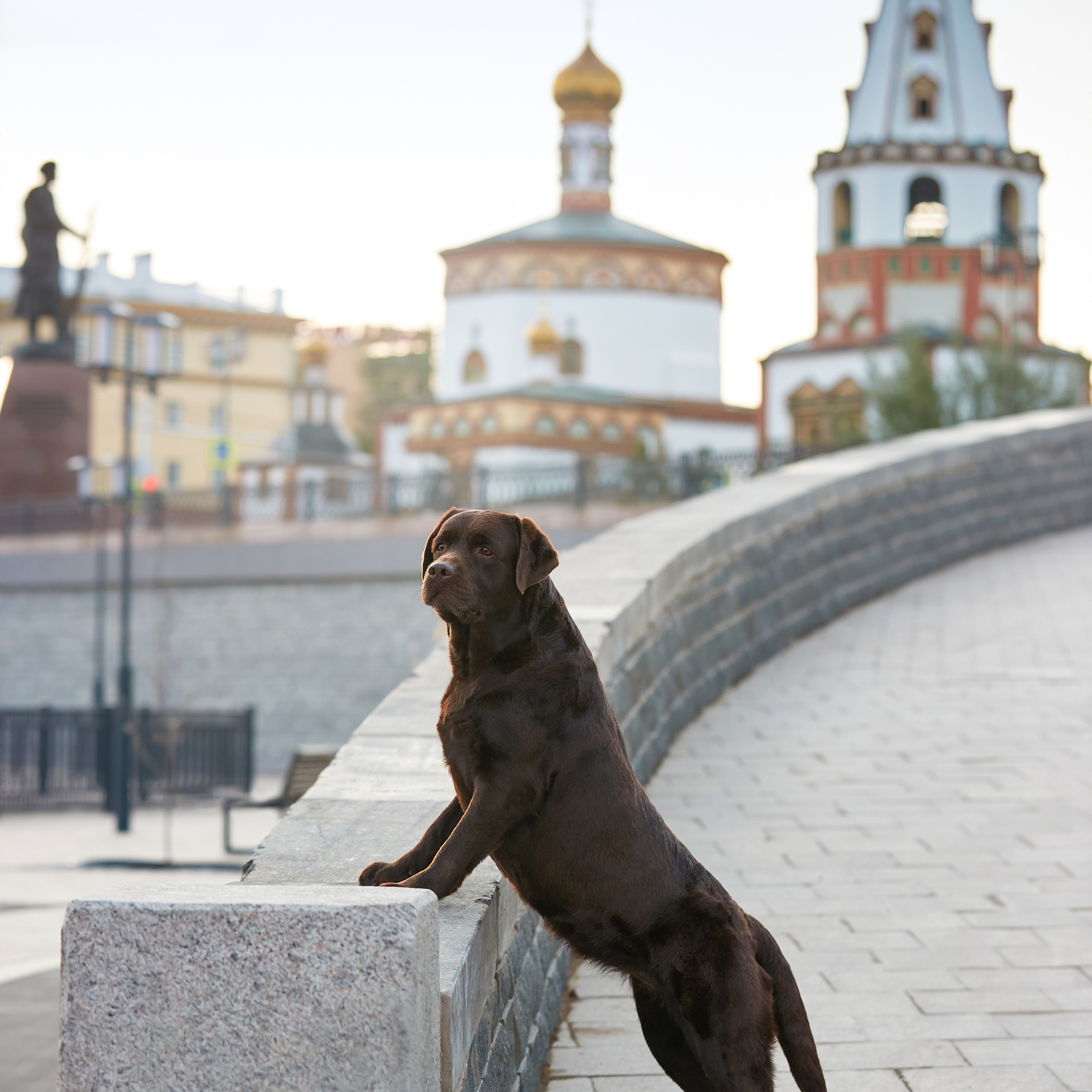 Путешествие к Байкалу. Фотосессии в Иркутске. ФОТОГРАФ-АНИМАЛИСТ l LANA POLYAKOVA