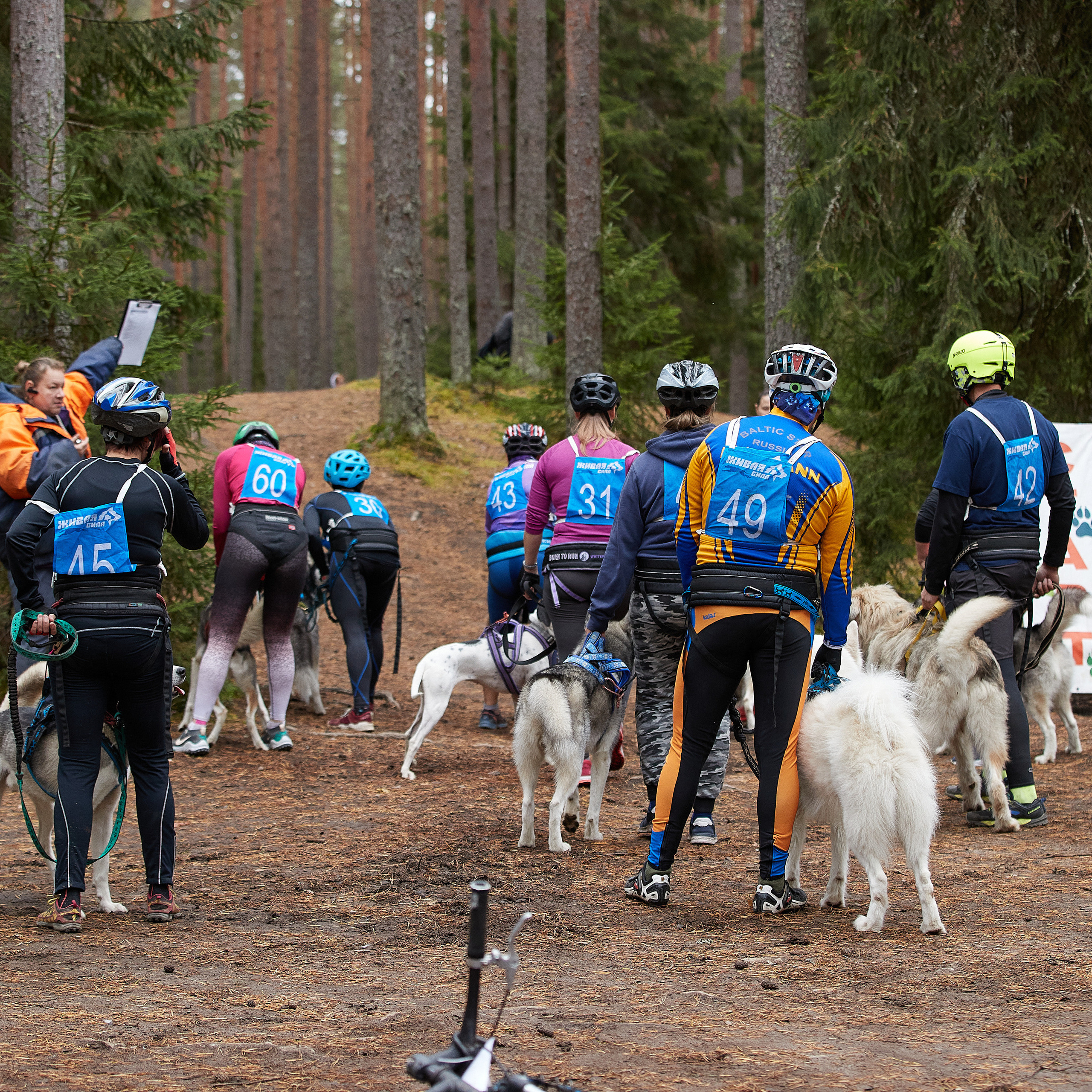 ЧЕМПИОНАТ РОССИИ РКФ 25–26 сентября 2021 г. ФОТОГРАФ-АНИМАЛИСТ l LANA POLYAKOVA