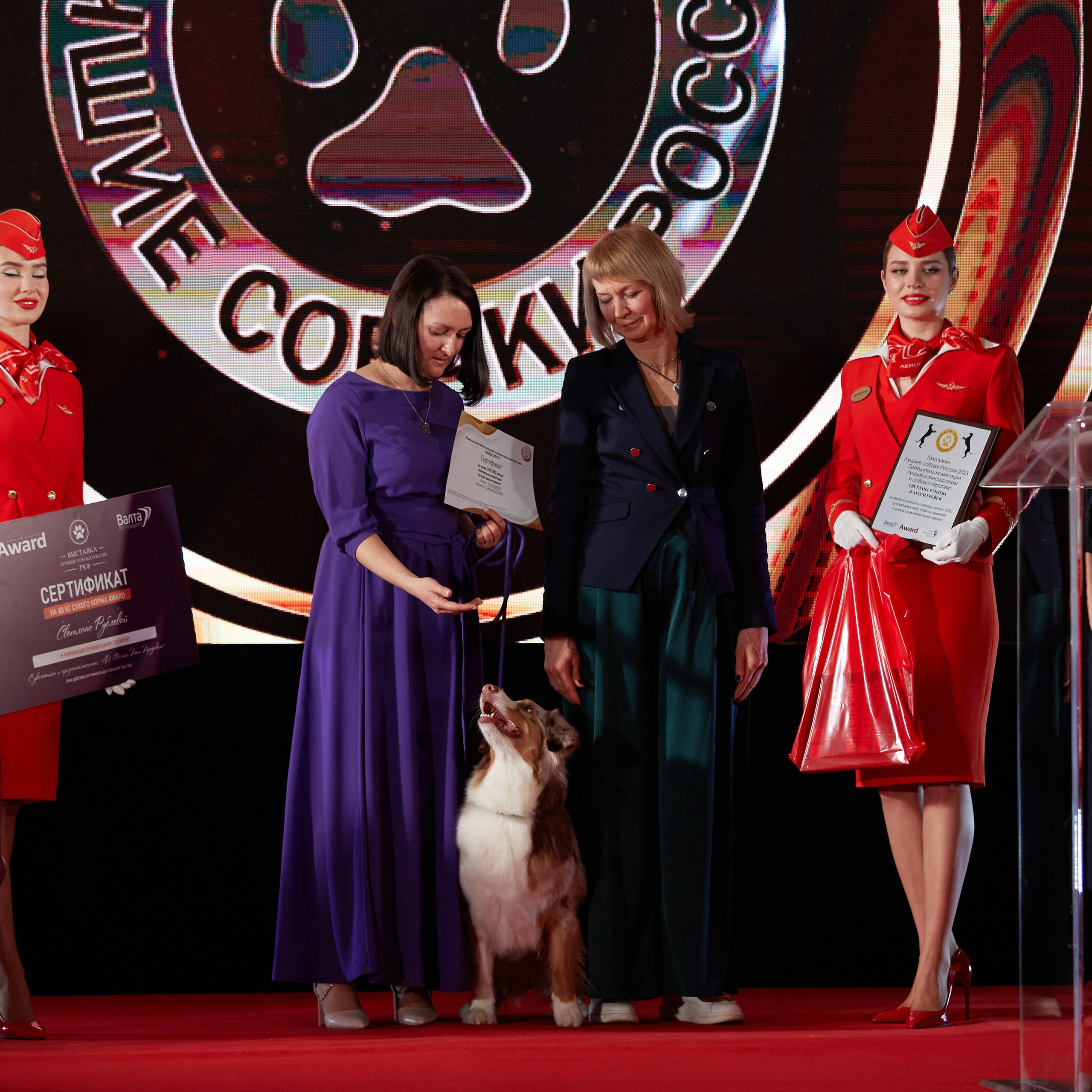 Репортаж с церемонии «BEST RUSSIAN DOG 2023». ФОТОГРАФ-АНИМАЛИСТ l LANA POLYAKOVA