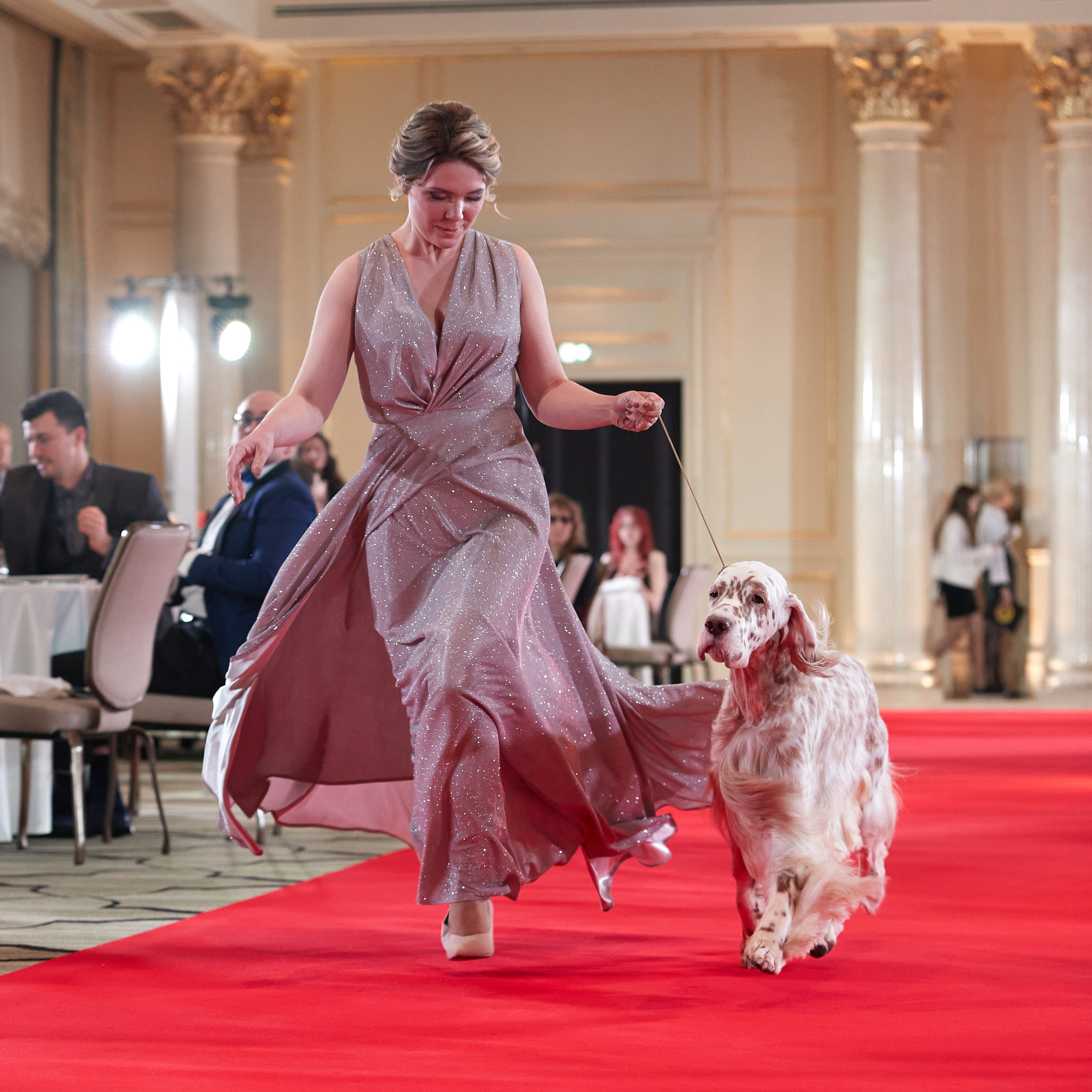 Репортаж с церемонии «BEST RUSSIAN DOG 2022». ФОТОГРАФ-АНИМАЛИСТ l LANA POLYAKOVA