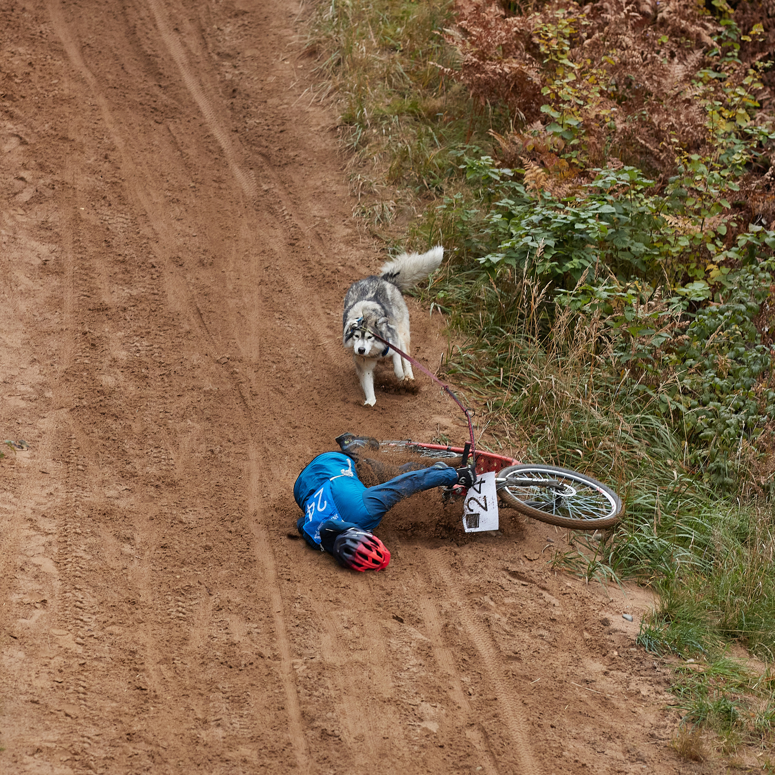 ЧЕМПИОНАТ РОССИИ РКФ 25–26 сентября 2021 г. ФОТОГРАФ-АНИМАЛИСТ l LANA POLYAKOVA