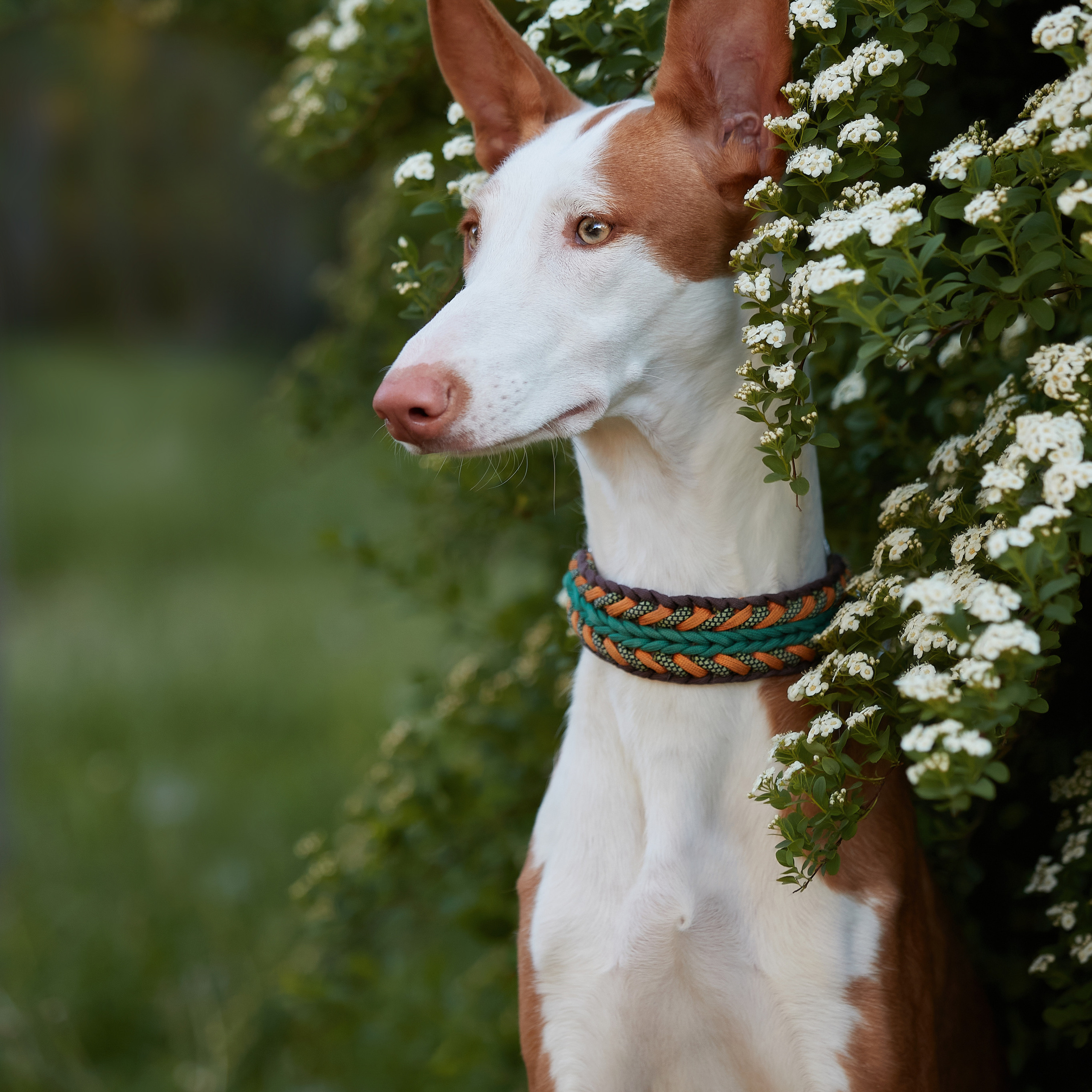Фотопрогулка для Найроби. ФОТОГРАФ-АНИМАЛИСТ l LANA POLYAKOVA