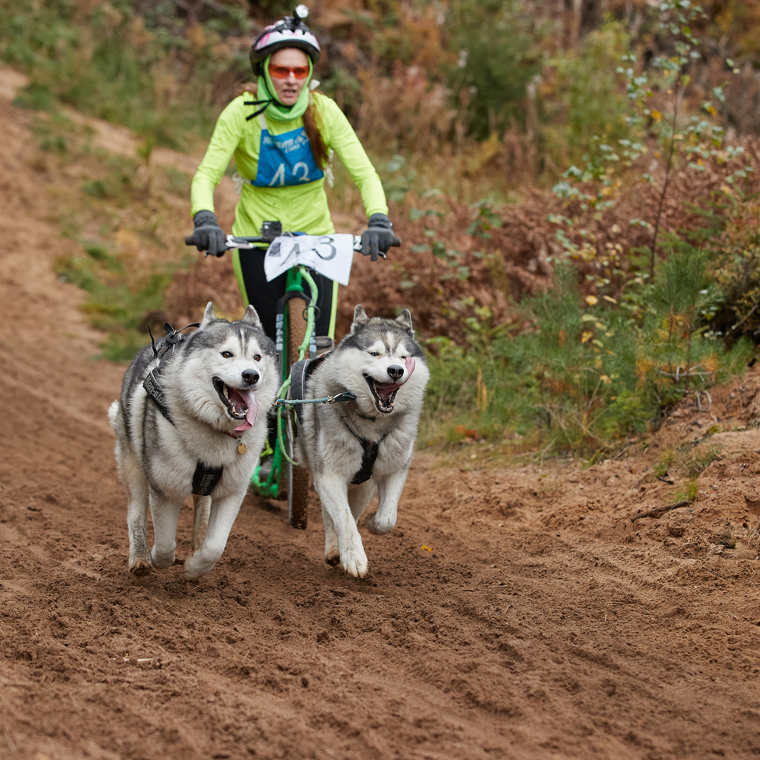 ЧЕМПИОНАТ РОССИИ РКФ 25–26 сентября 2021 г. ФОТОГРАФ-АНИМАЛИСТ l LANA POLYAKOVA