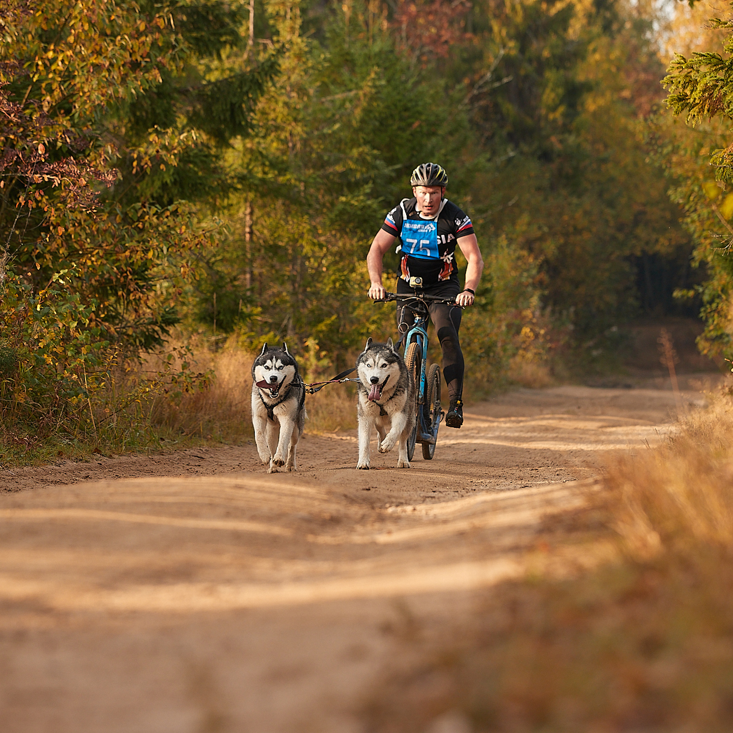 ЧЕМПИОНАТ РОССИИ РКФ 27 сентября 2020 г., 2й день. ФОТОГРАФ-АНИМАЛИСТ l LANA POLYAKOVA