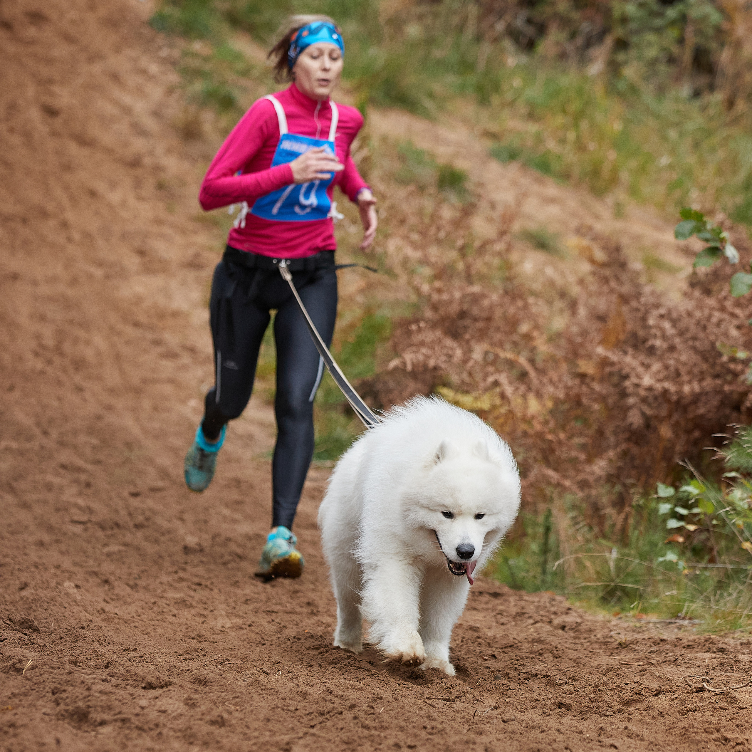ЧЕМПИОНАТ РОССИИ РКФ 25–26 сентября 2021 г. ФОТОГРАФ-АНИМАЛИСТ l LANA POLYAKOVA
