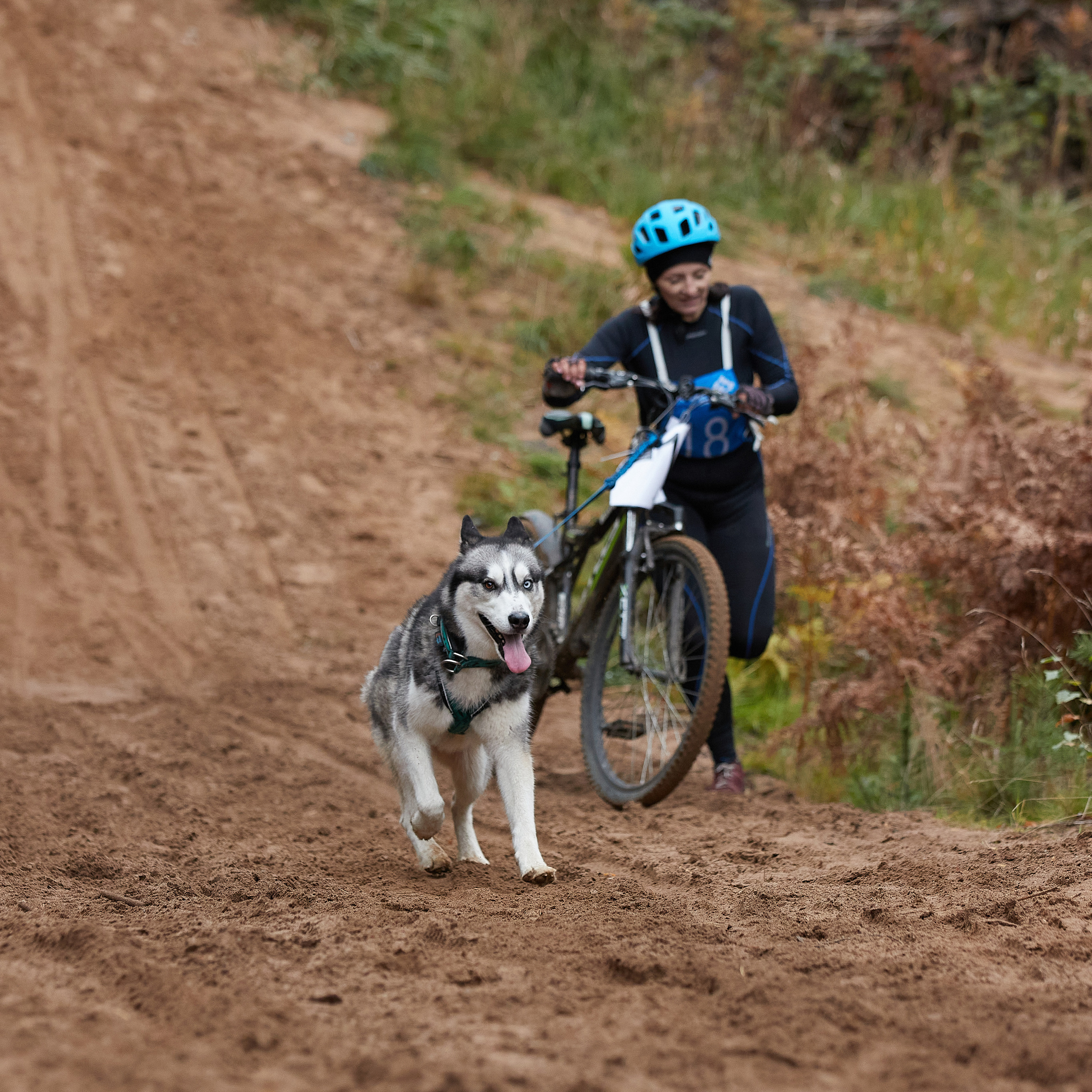 ЧЕМПИОНАТ РОССИИ РКФ 25–26 сентября 2021 г. ФОТОГРАФ-АНИМАЛИСТ l LANA POLYAKOVA