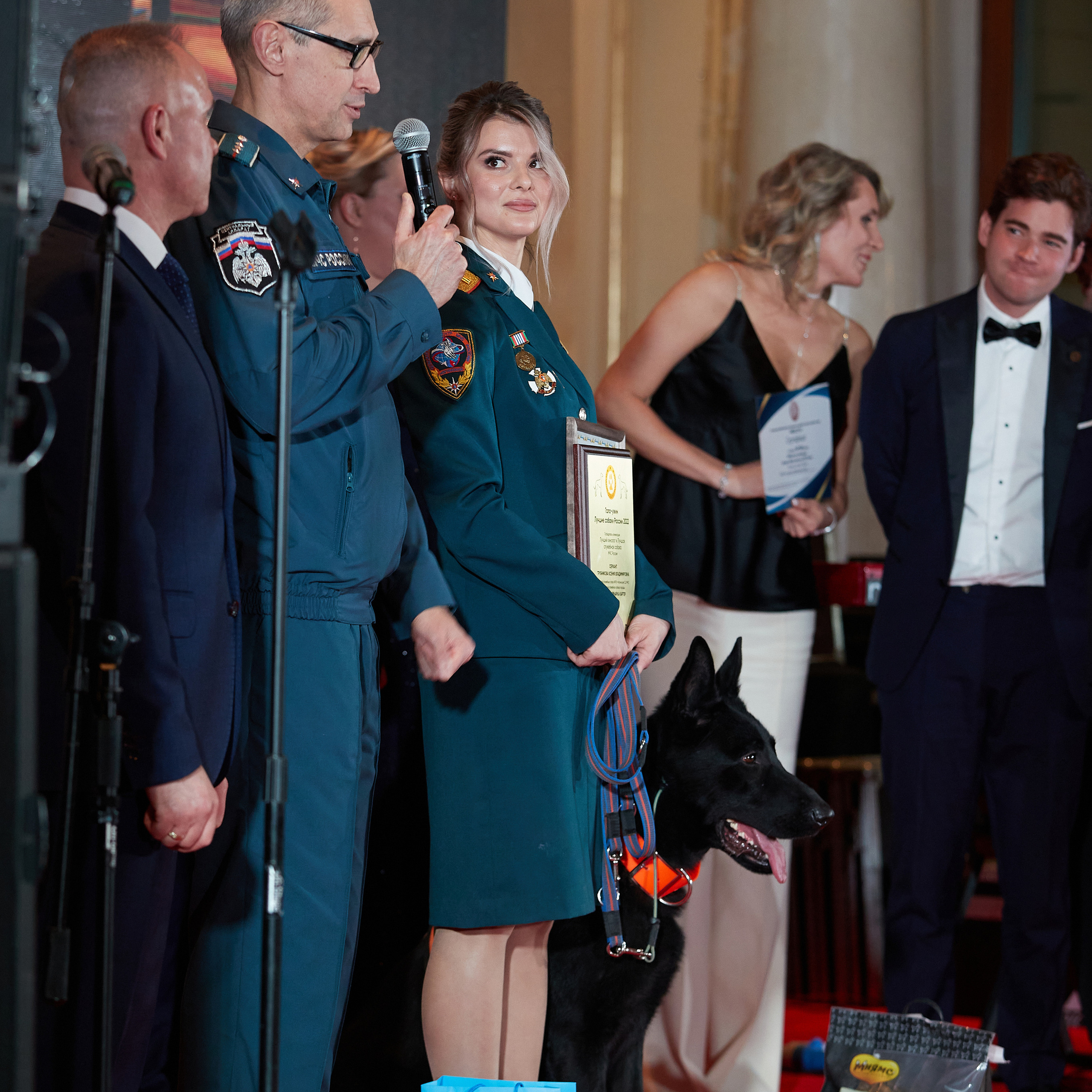 Репортаж с церемонии «BEST RUSSIAN DOG 2022». ФОТОГРАФ-АНИМАЛИСТ l LANA POLYAKOVA