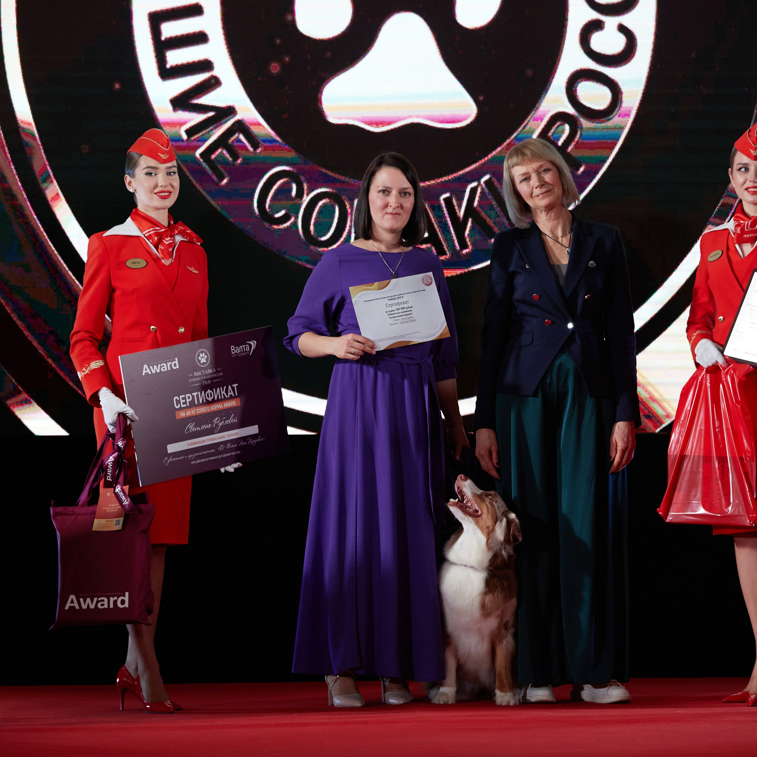 Репортаж с церемонии «BEST RUSSIAN DOG 2023». ФОТОГРАФ-АНИМАЛИСТ l LANA POLYAKOVA