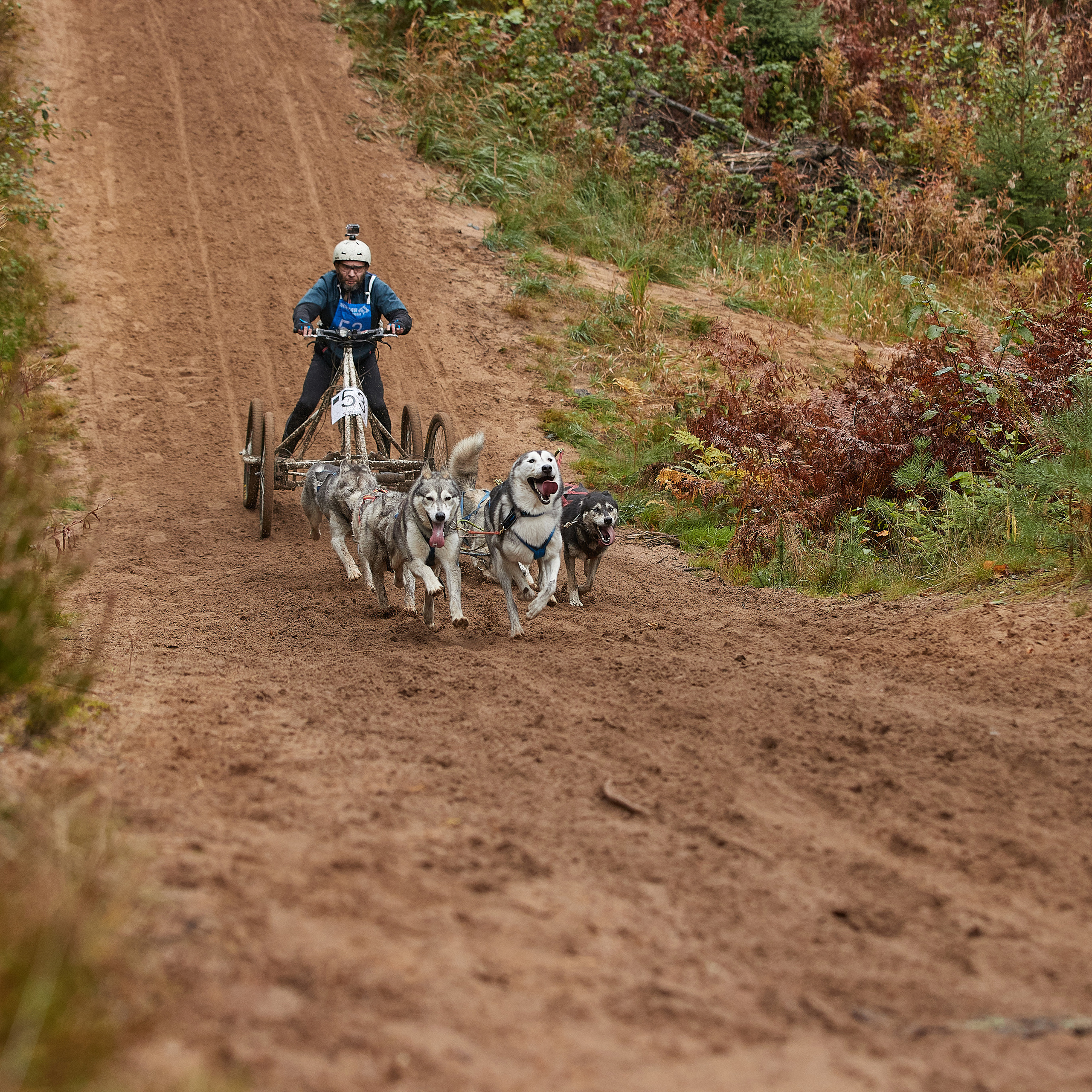 ЧЕМПИОНАТ РОССИИ РКФ 25–26 сентября 2021 г. ФОТОГРАФ-АНИМАЛИСТ l LANA POLYAKOVA