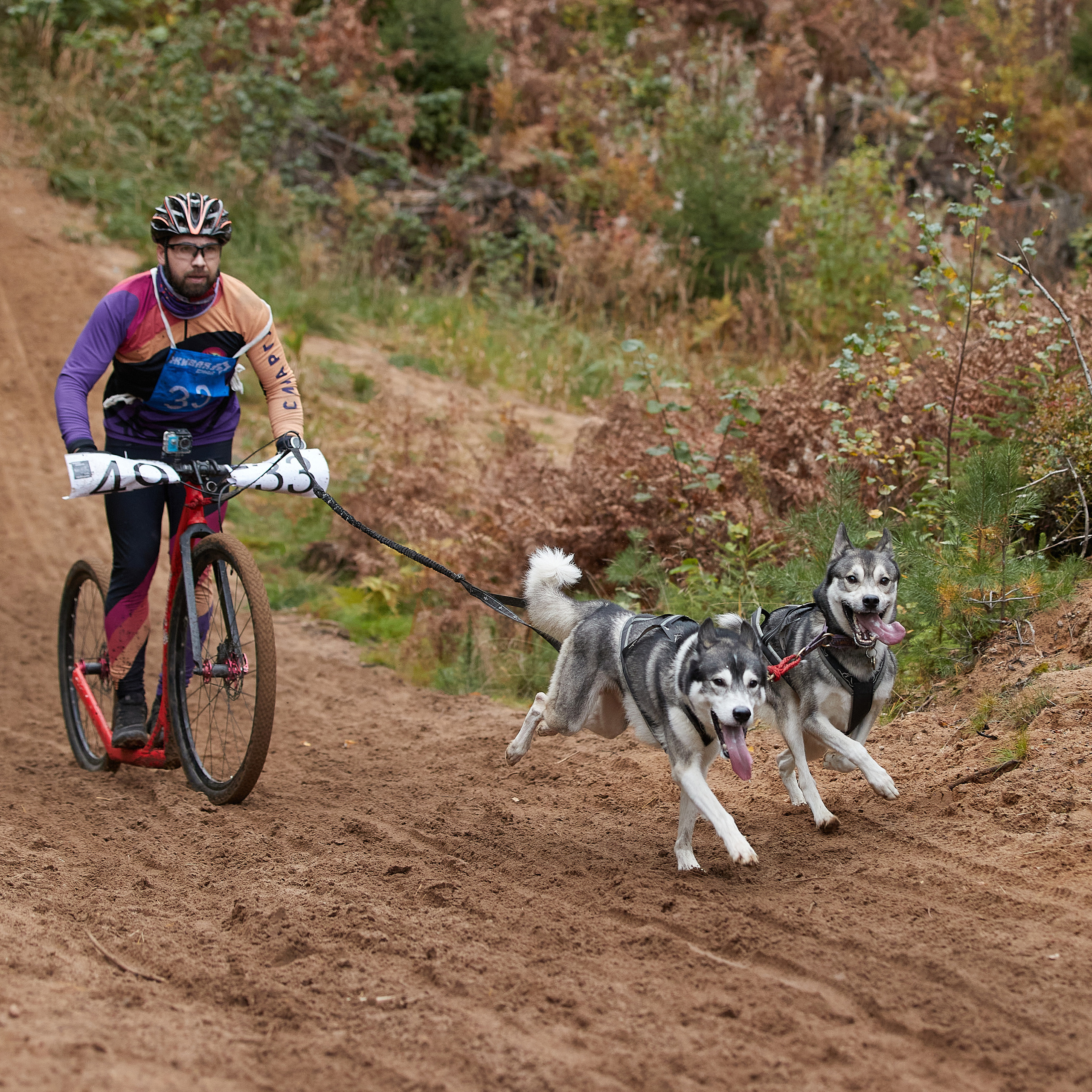 ЧЕМПИОНАТ РОССИИ РКФ 25–26 сентября 2021 г. ФОТОГРАФ-АНИМАЛИСТ l LANA POLYAKOVA