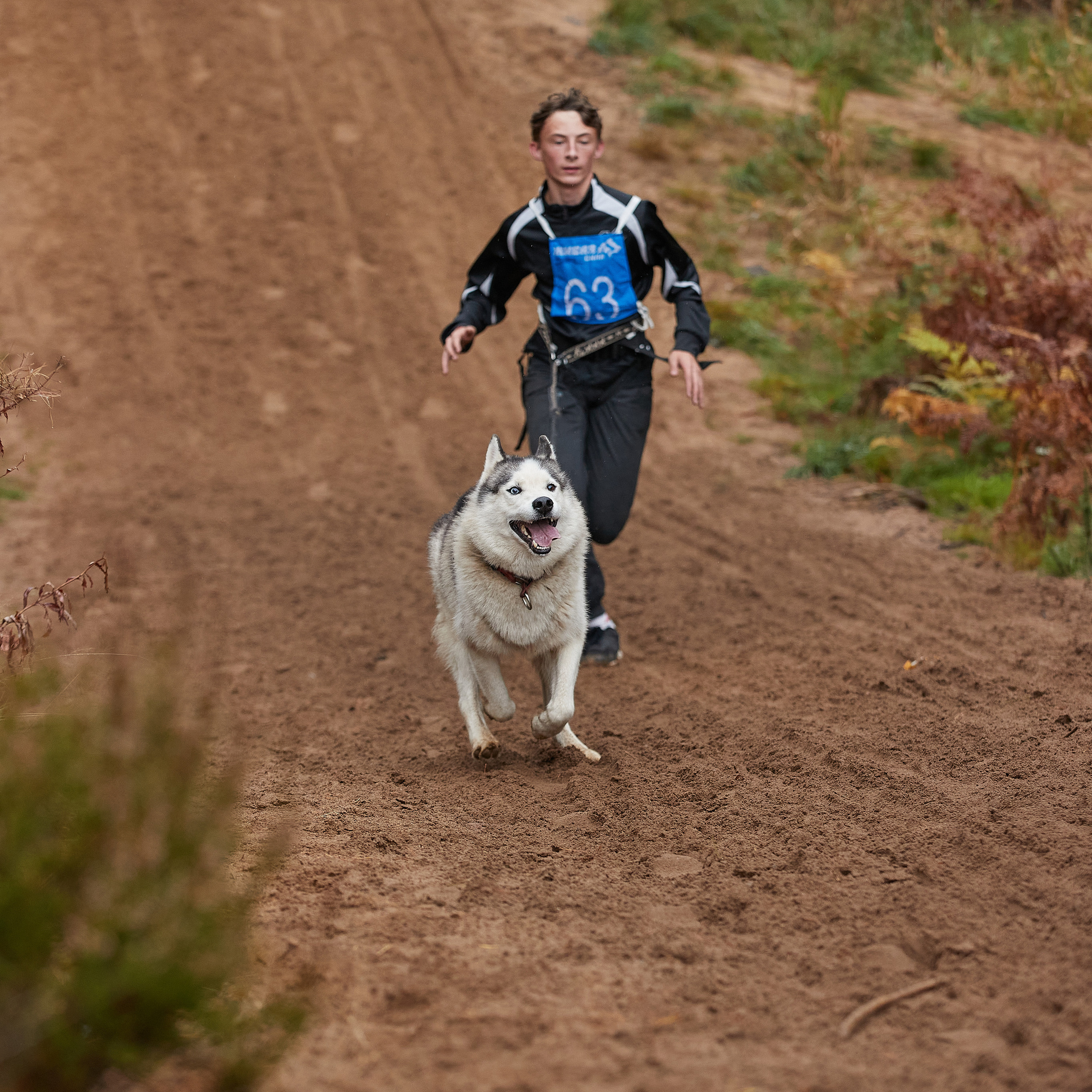 ЧЕМПИОНАТ РОССИИ РКФ 25–26 сентября 2021 г. ФОТОГРАФ-АНИМАЛИСТ l LANA POLYAKOVA
