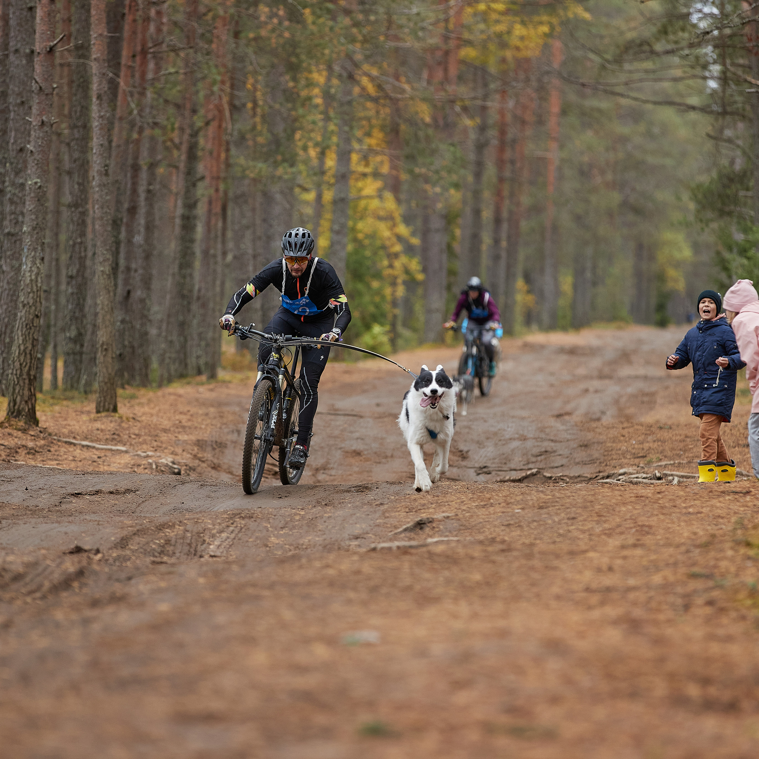 ЧЕМПИОНАТ РОССИИ РКФ 25–26 сентября 2021 г. ФОТОГРАФ-АНИМАЛИСТ l LANA POLYAKOVA