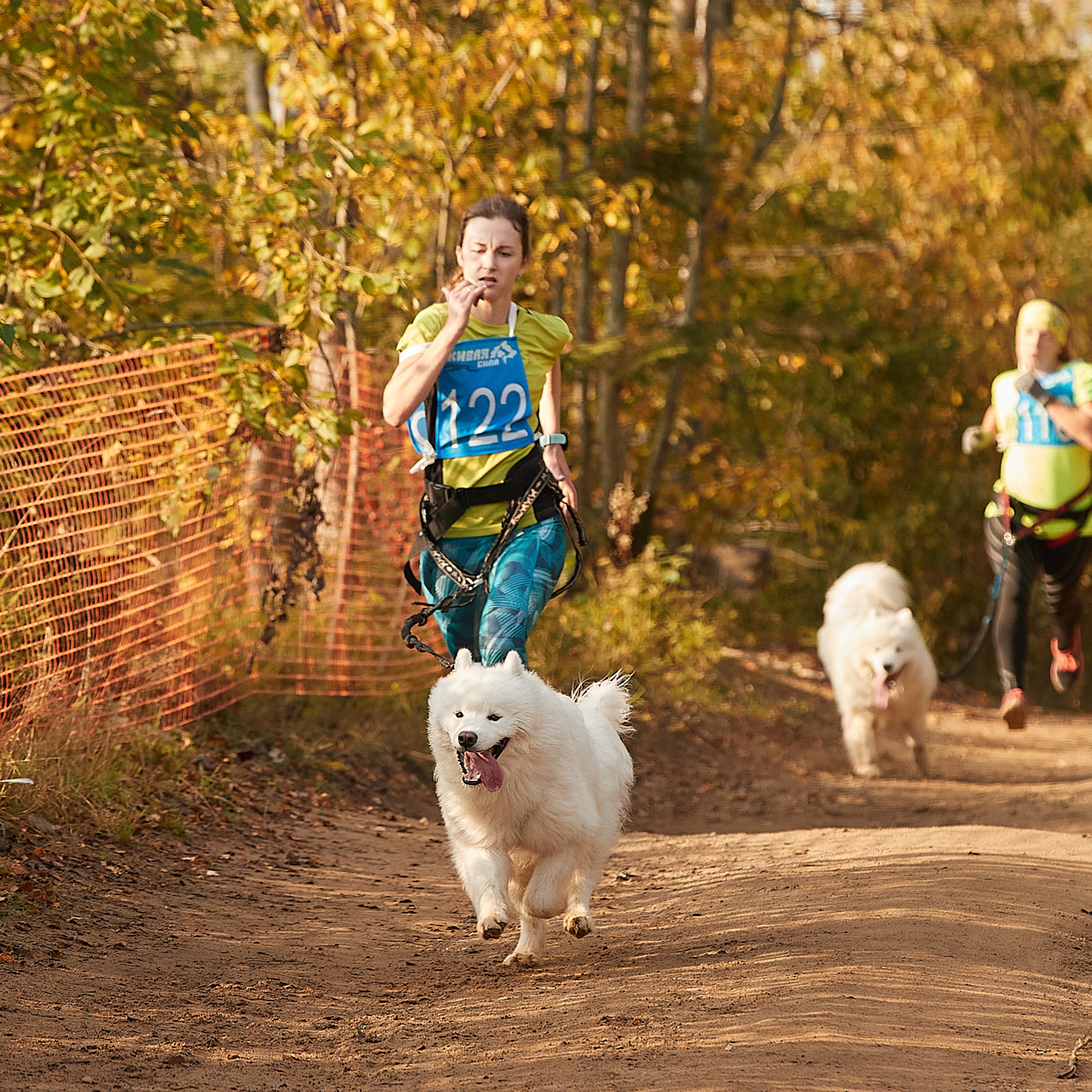 ЧЕМПИОНАТ РОССИИ РКФ 27 сентября 2020 г., 2й день. ФОТОГРАФ-АНИМАЛИСТ l LANA POLYAKOVA