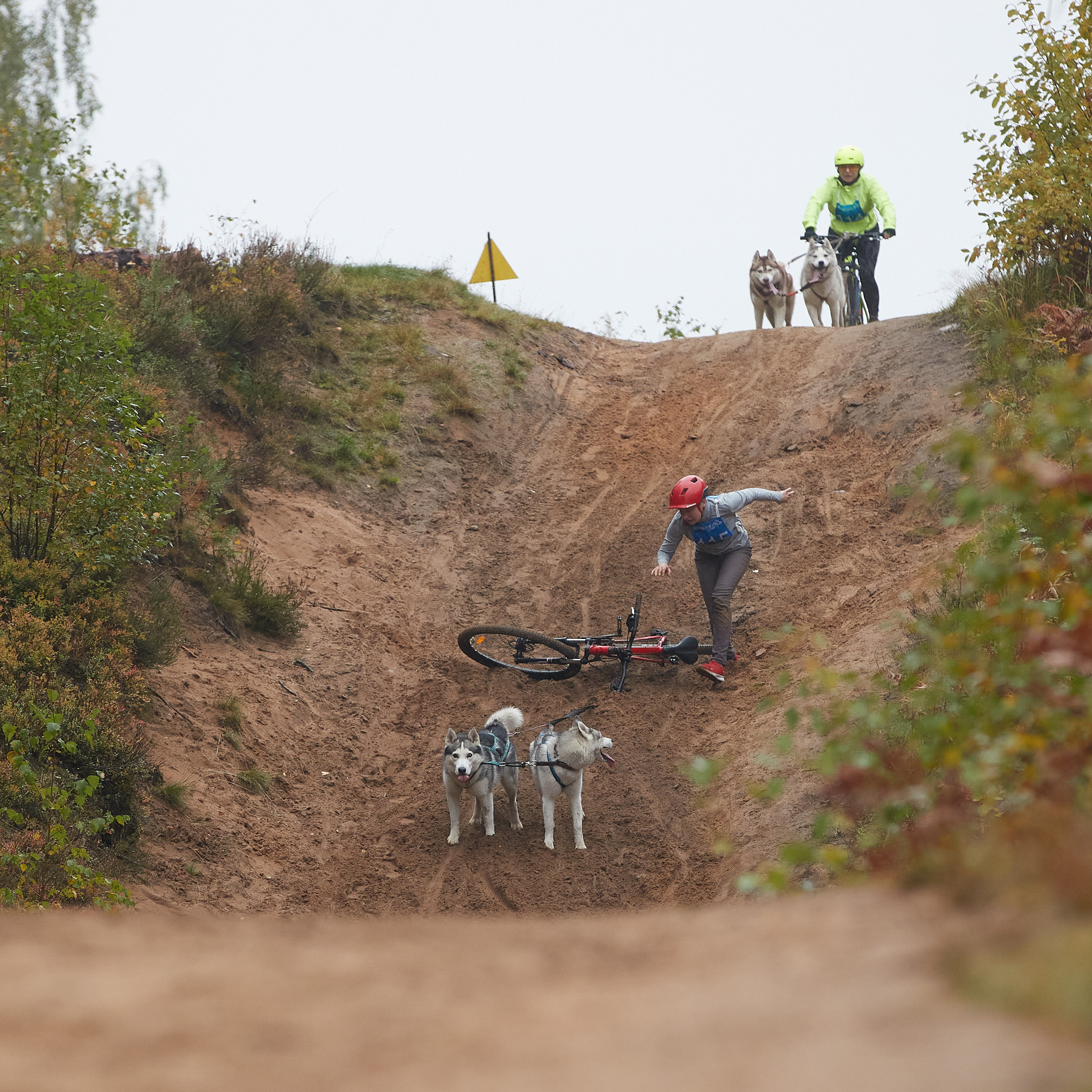 ЧЕМПИОНАТ РОССИИ РКФ 25–26 сентября 2021 г. ФОТОГРАФ-АНИМАЛИСТ l LANA POLYAKOVA