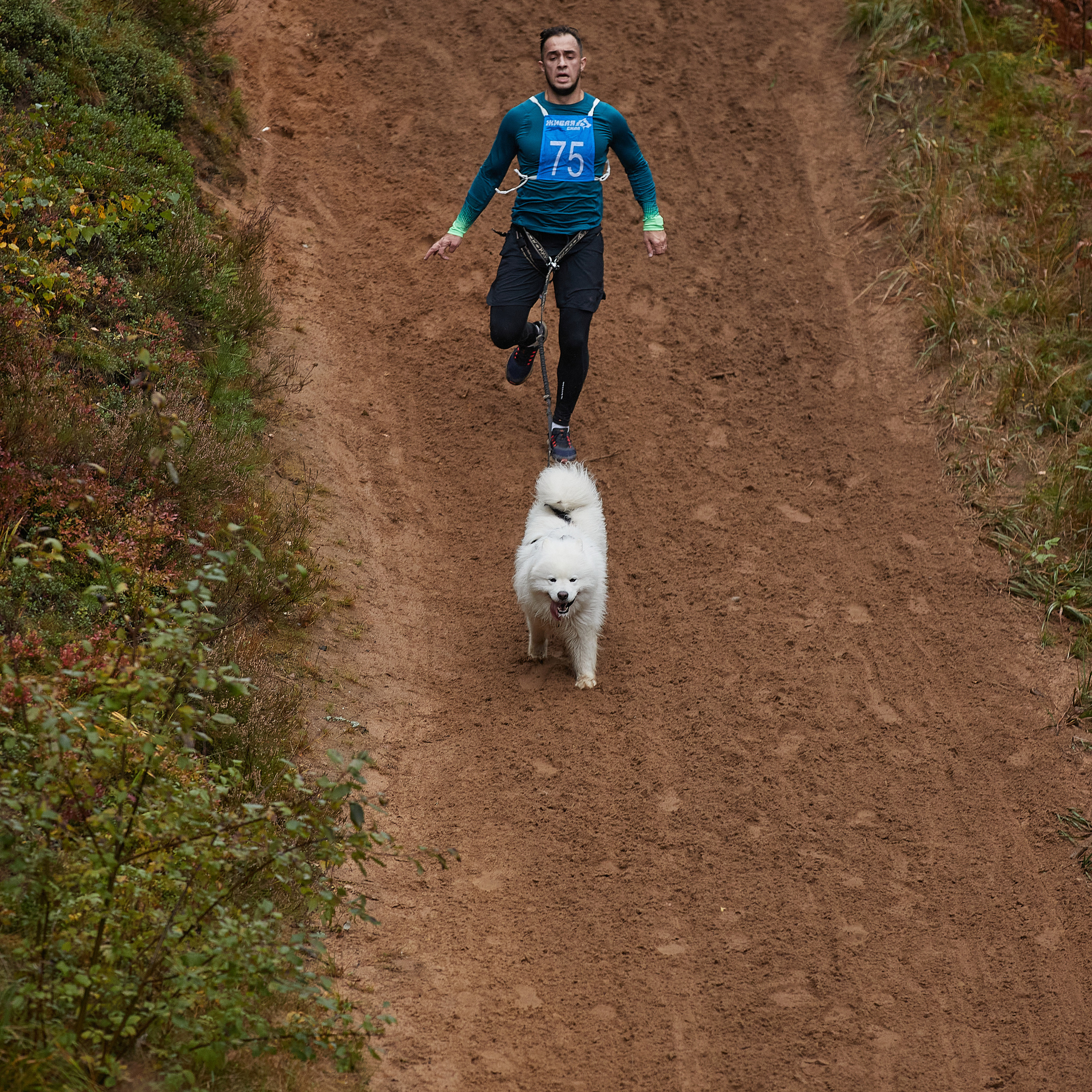 ЧЕМПИОНАТ РОССИИ РКФ 25–26 сентября 2021 г. ФОТОГРАФ-АНИМАЛИСТ l LANA POLYAKOVA