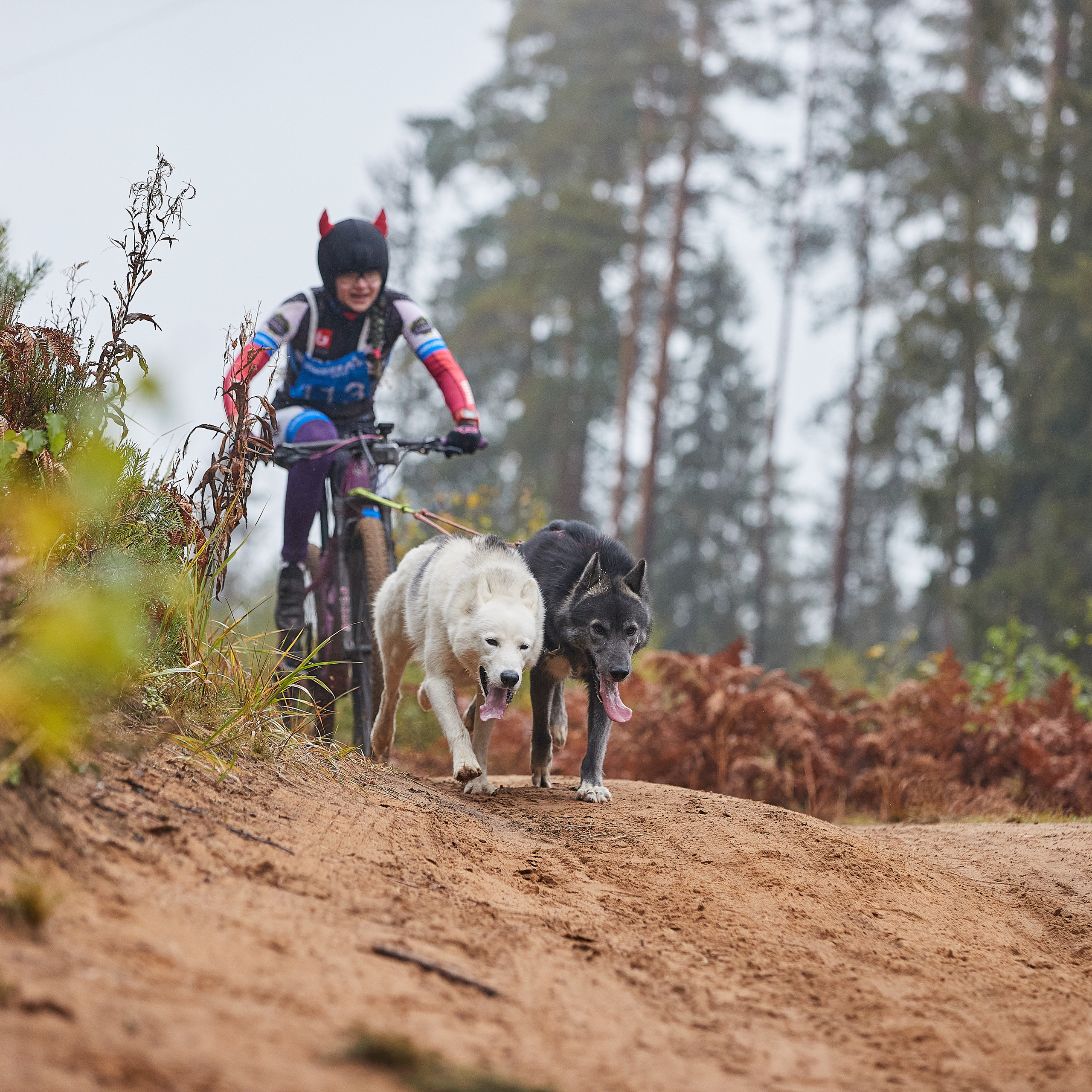 ЧЕМПИОНАТ РОССИИ РКФ 25–26 сентября 2021 г. ФОТОГРАФ-АНИМАЛИСТ l LANA POLYAKOVA