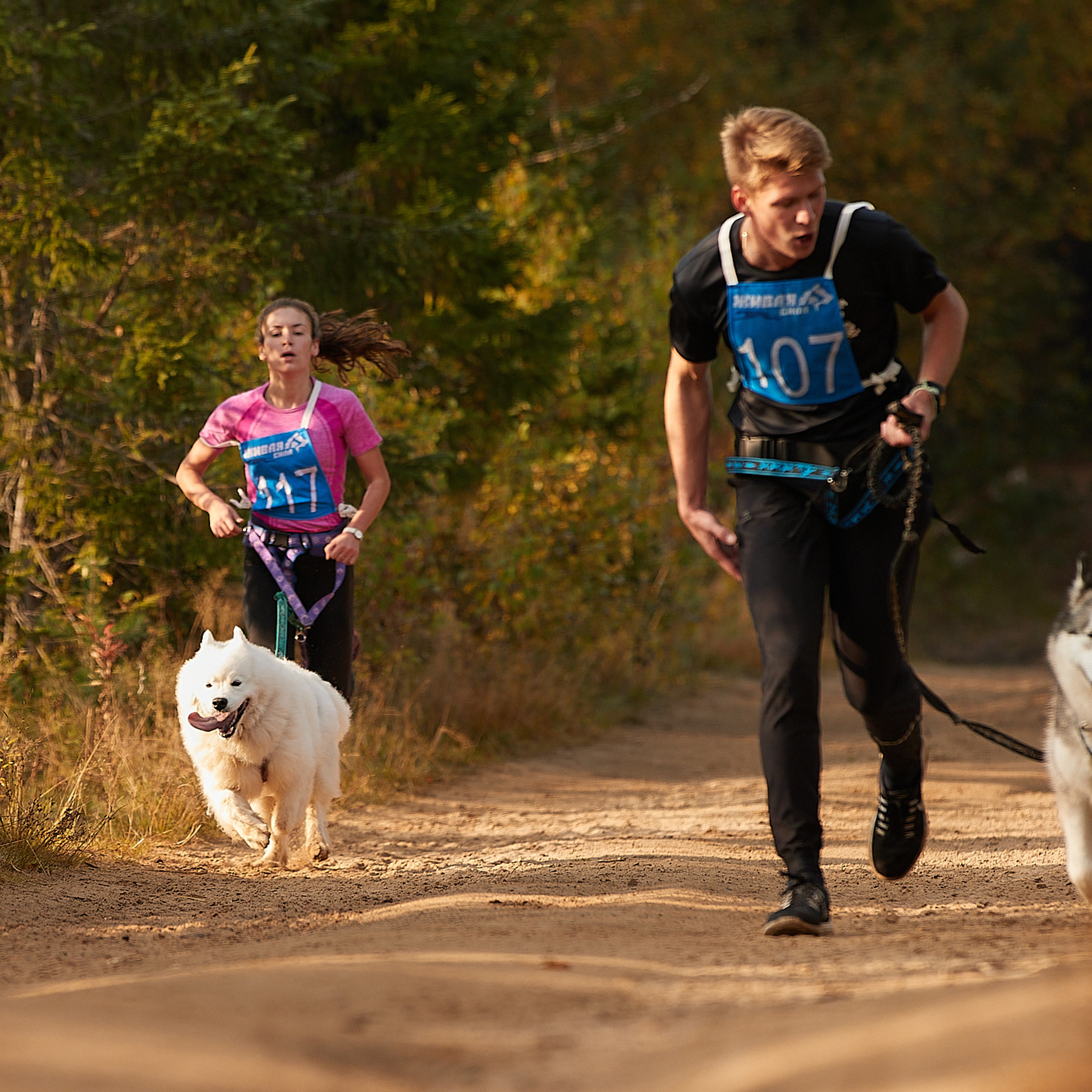 ЧЕМПИОНАТ РОССИИ РКФ 27 сентября 2020 г., 2й день. ФОТОГРАФ-АНИМАЛИСТ l LANA POLYAKOVA