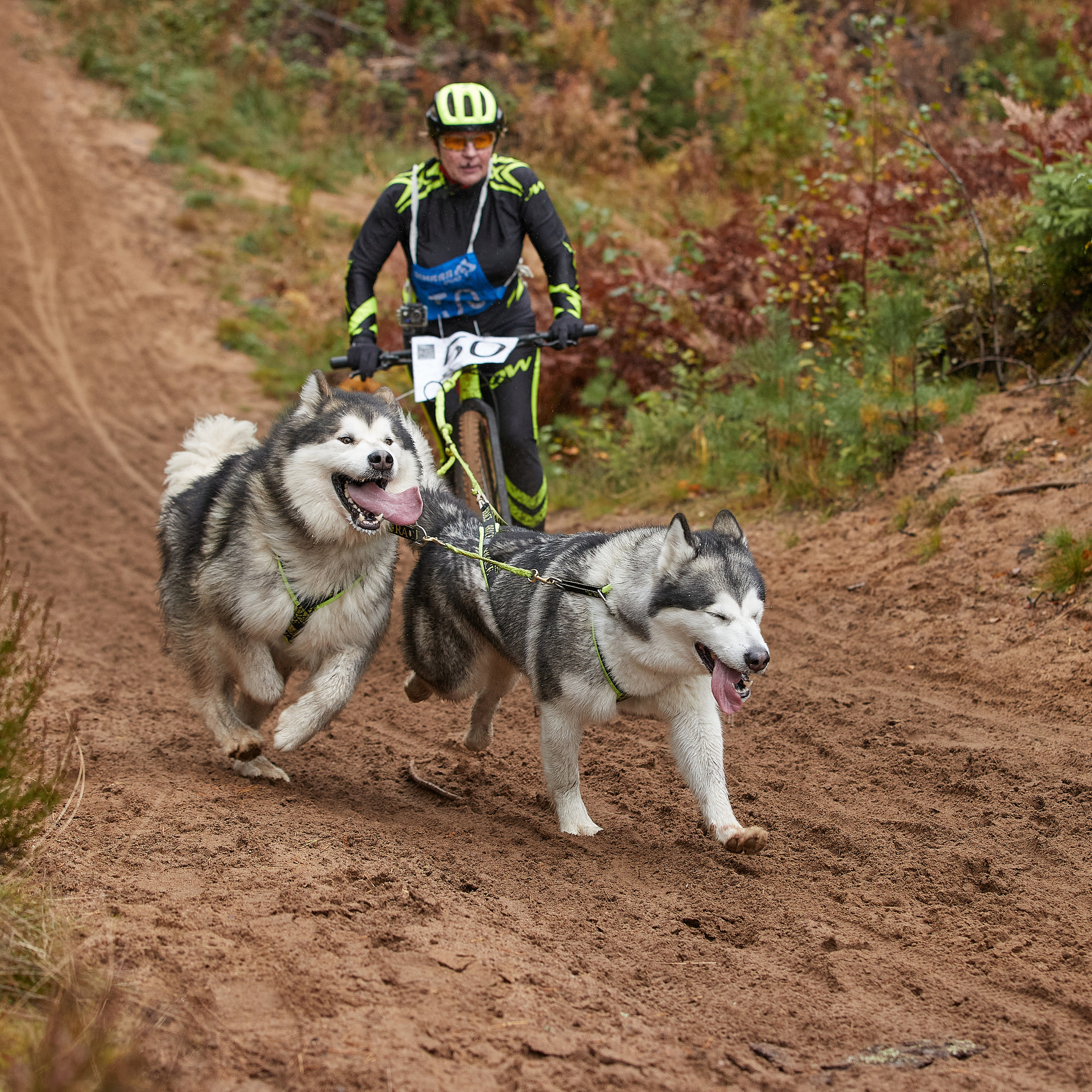 ЧЕМПИОНАТ РОССИИ РКФ 25–26 сентября 2021 г. ФОТОГРАФ-АНИМАЛИСТ l LANA POLYAKOVA