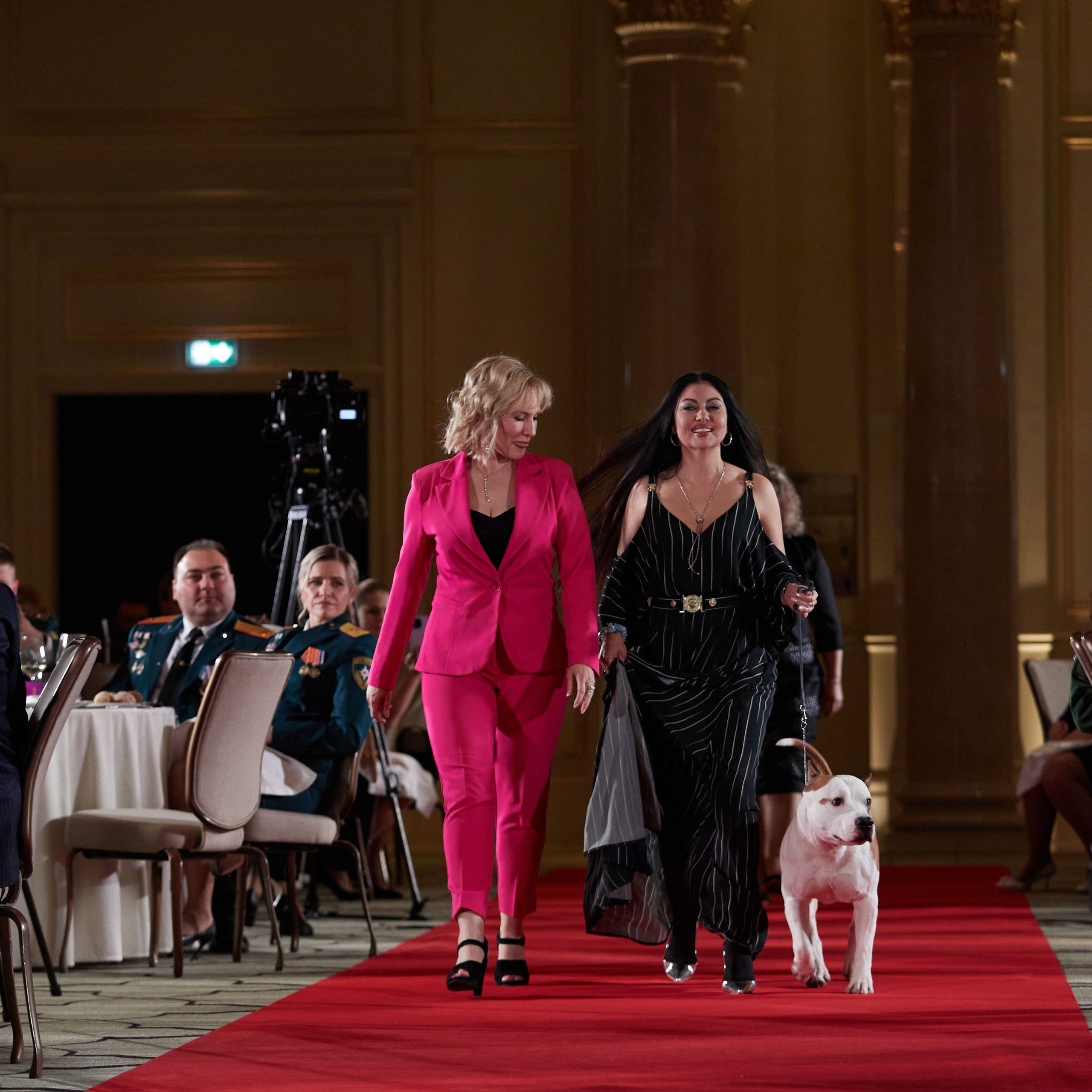 Репортаж с церемонии «BEST RUSSIAN DOG 2023». ФОТОГРАФ-АНИМАЛИСТ l LANA POLYAKOVA