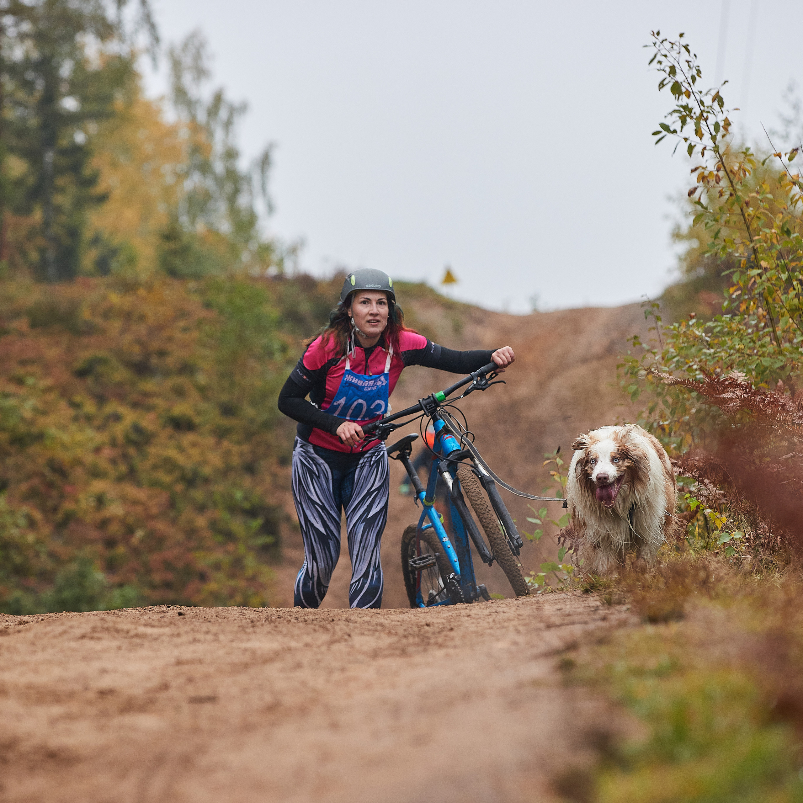ЧЕМПИОНАТ РОССИИ РКФ 25–26 сентября 2021 г. ФОТОГРАФ-АНИМАЛИСТ l LANA POLYAKOVA