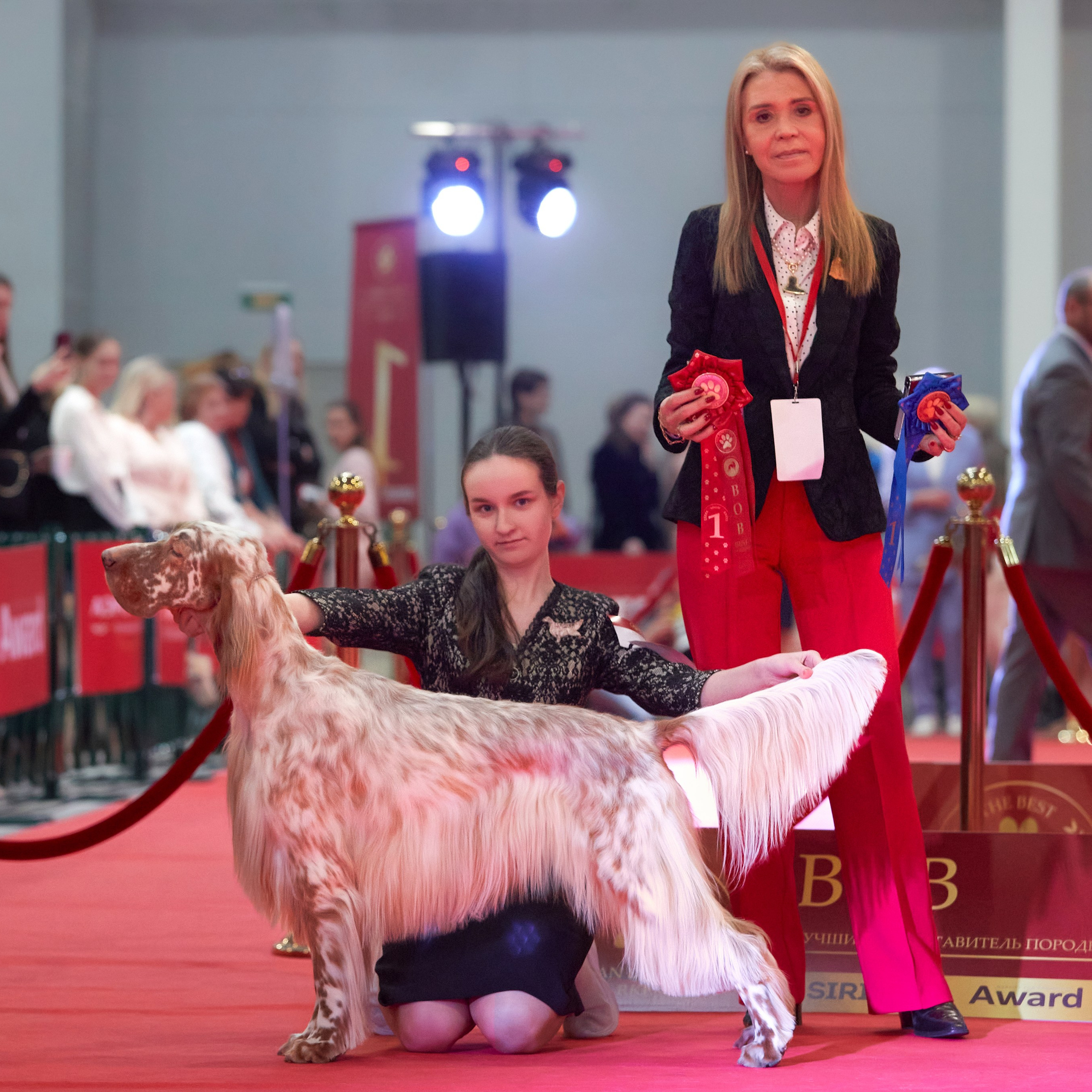 Шоу чемпионов «ЛУЧШИЕ СОБАКИ РОССИИ». ФОТОГРАФ-АНИМАЛИСТ l LANA POLYAKOVA