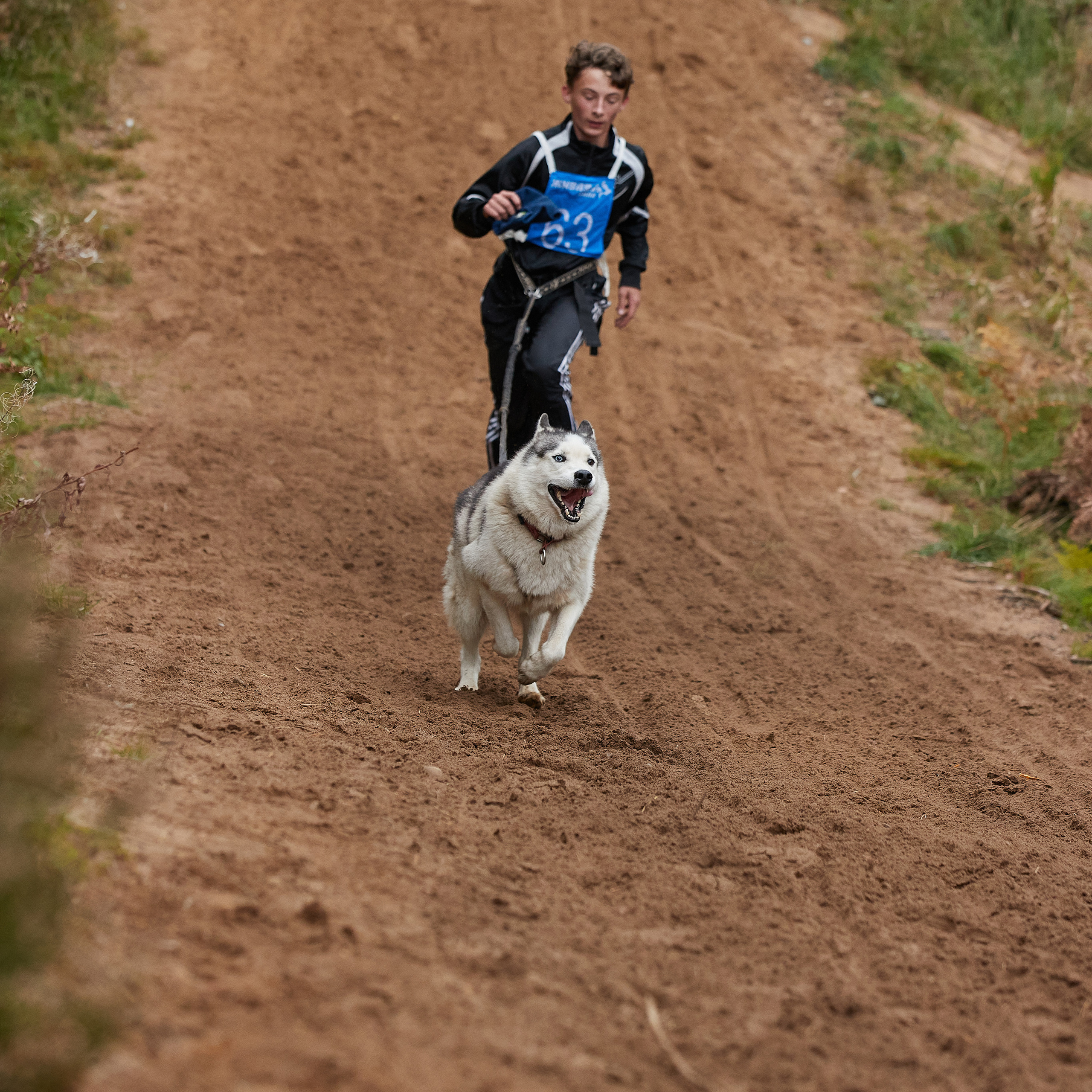 ЧЕМПИОНАТ РОССИИ РКФ 25–26 сентября 2021 г. ФОТОГРАФ-АНИМАЛИСТ l LANA POLYAKOVA