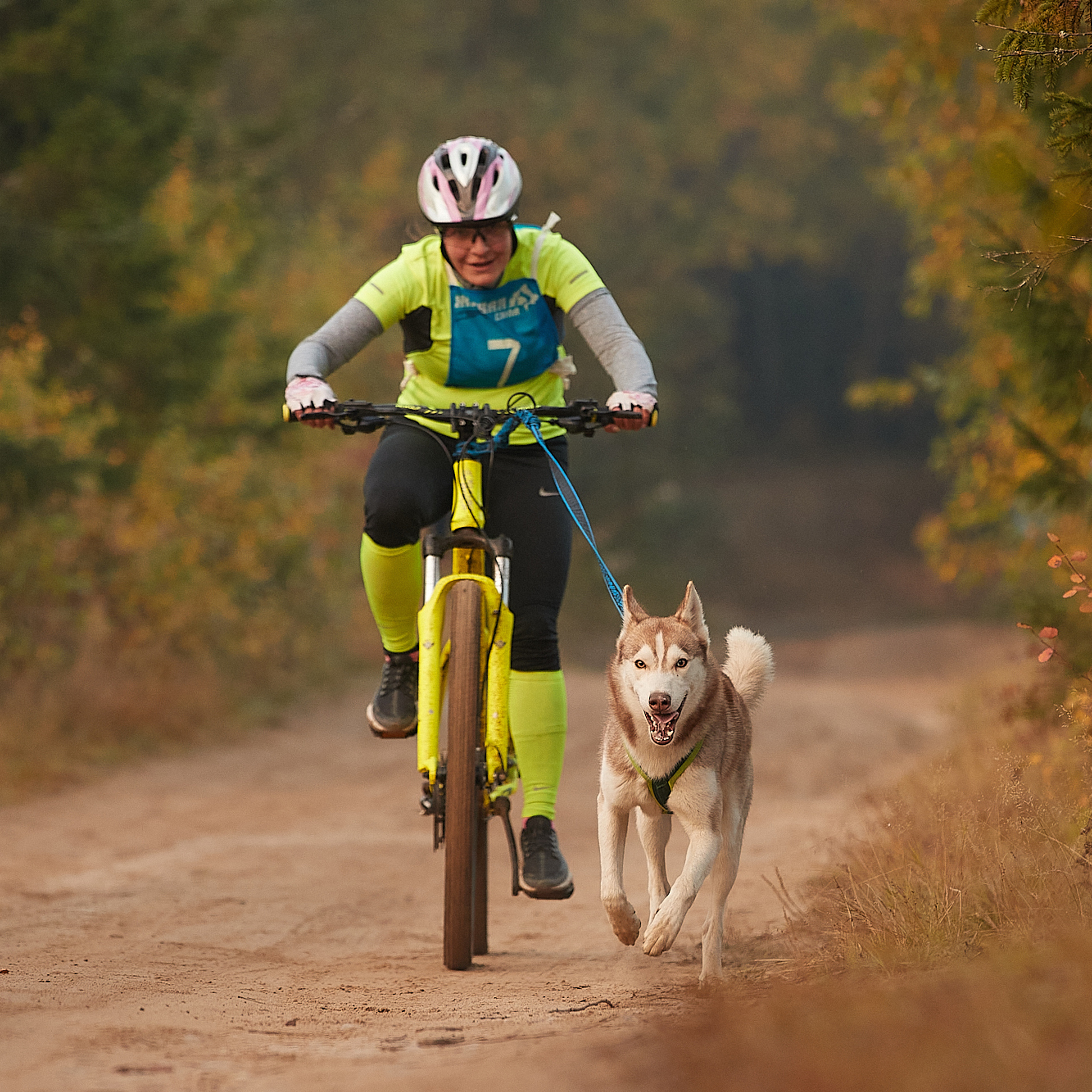 ЧЕМПИОНАТ РОССИИ РКФ 27 сентября 2020 г., 2й день. ФОТОГРАФ-АНИМАЛИСТ l LANA POLYAKOVA