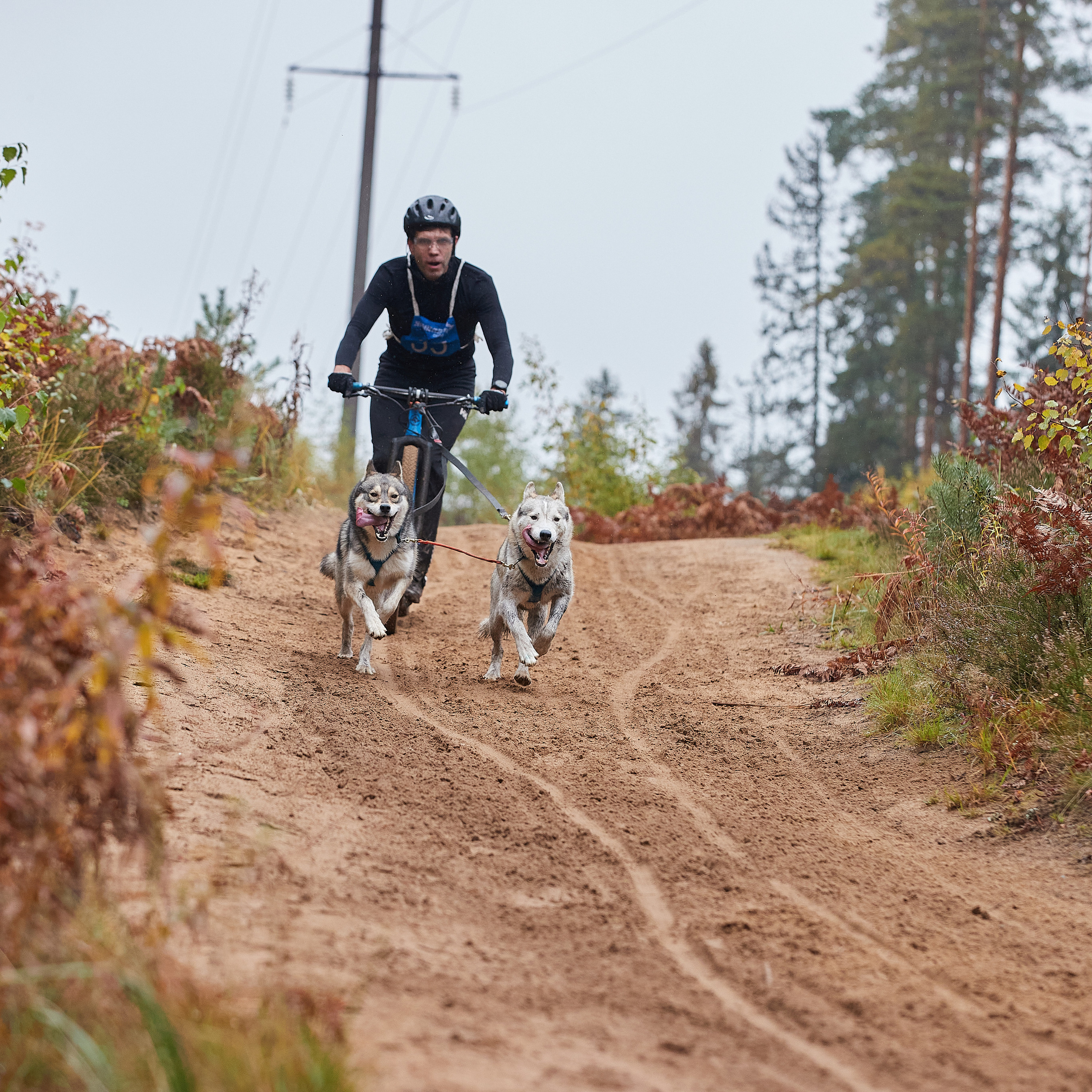 ЧЕМПИОНАТ РОССИИ РКФ 25–26 сентября 2021 г. ФОТОГРАФ-АНИМАЛИСТ l LANA POLYAKOVA