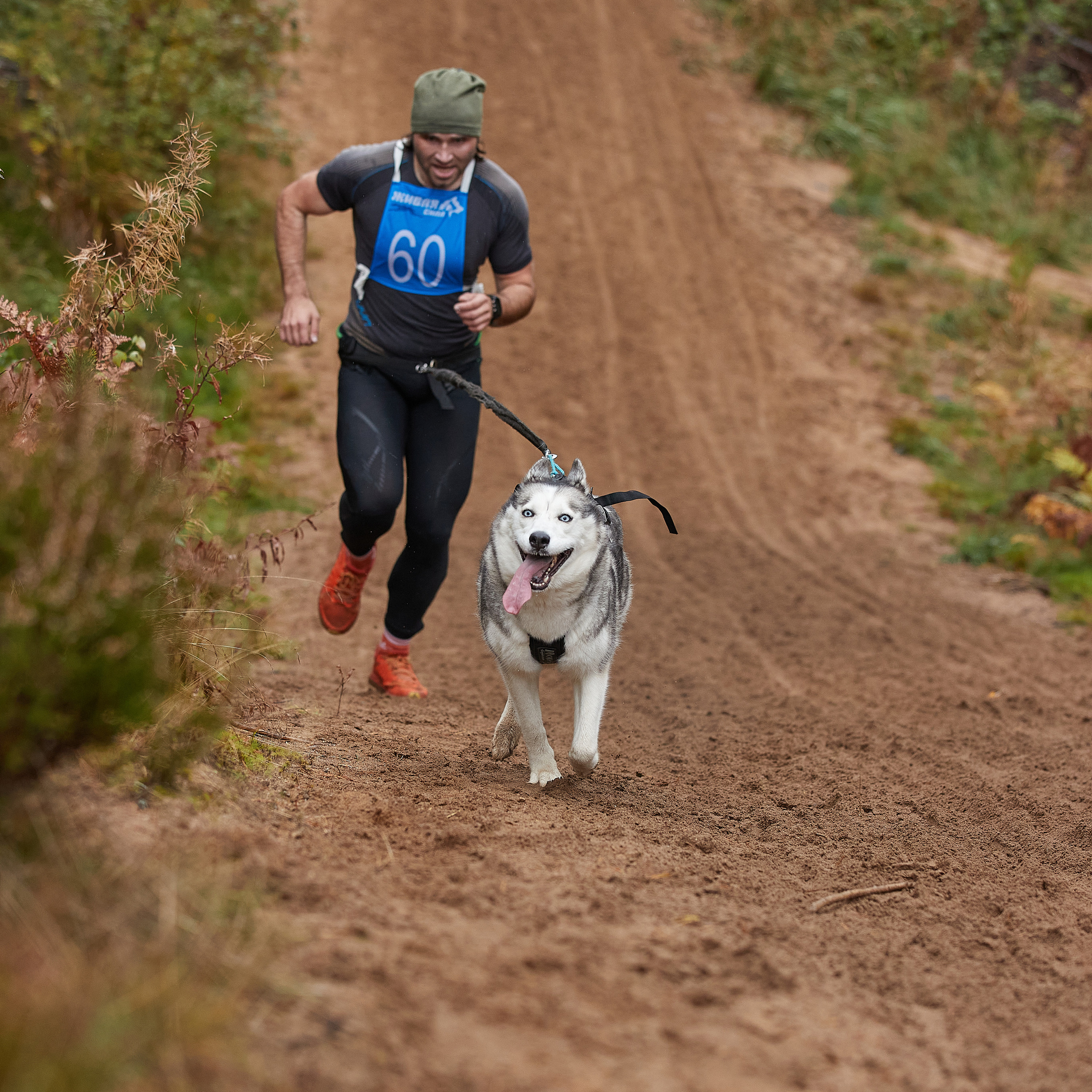 ЧЕМПИОНАТ РОССИИ РКФ 25–26 сентября 2021 г. ФОТОГРАФ-АНИМАЛИСТ l LANA POLYAKOVA