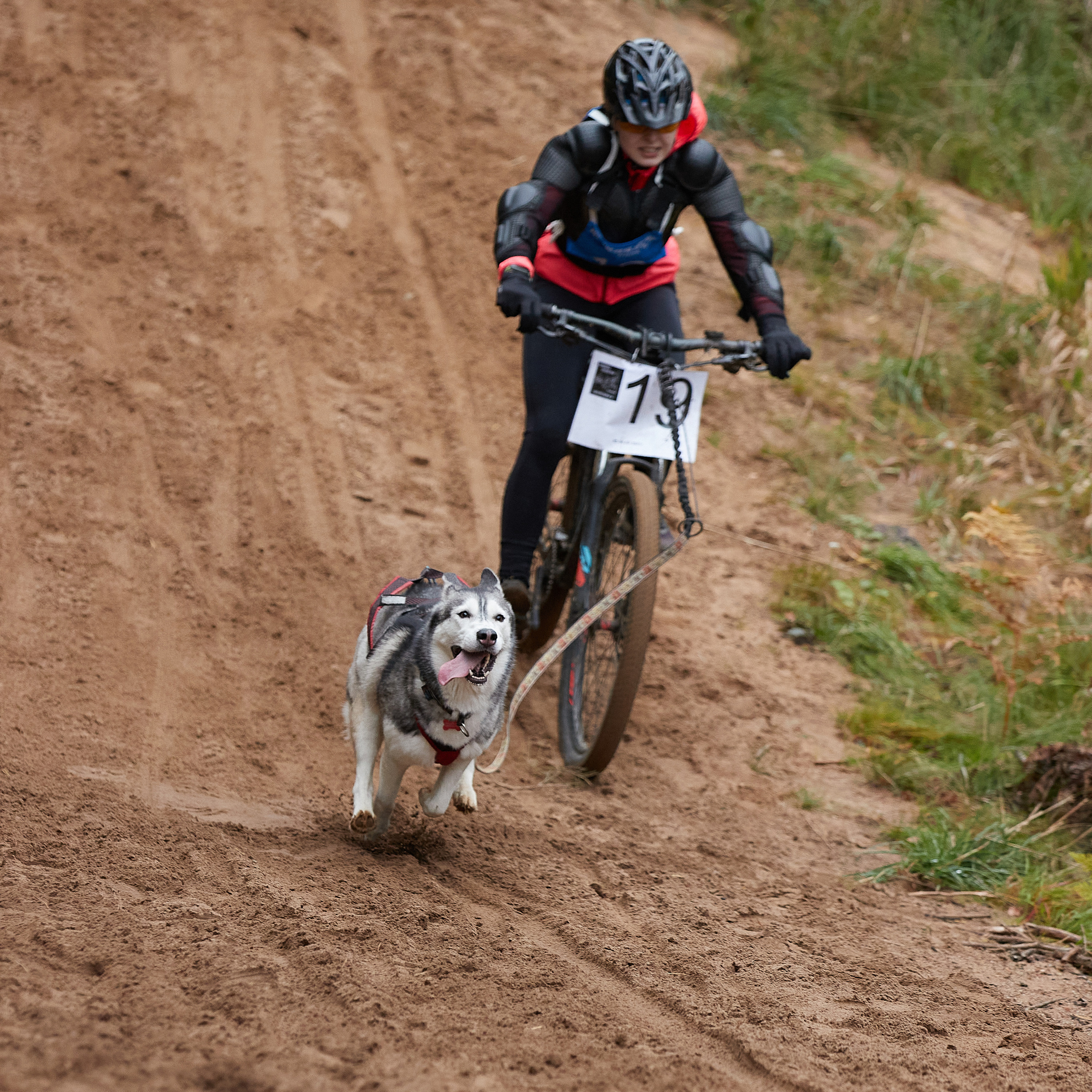 ЧЕМПИОНАТ РОССИИ РКФ 25–26 сентября 2021 г. ФОТОГРАФ-АНИМАЛИСТ l LANA POLYAKOVA