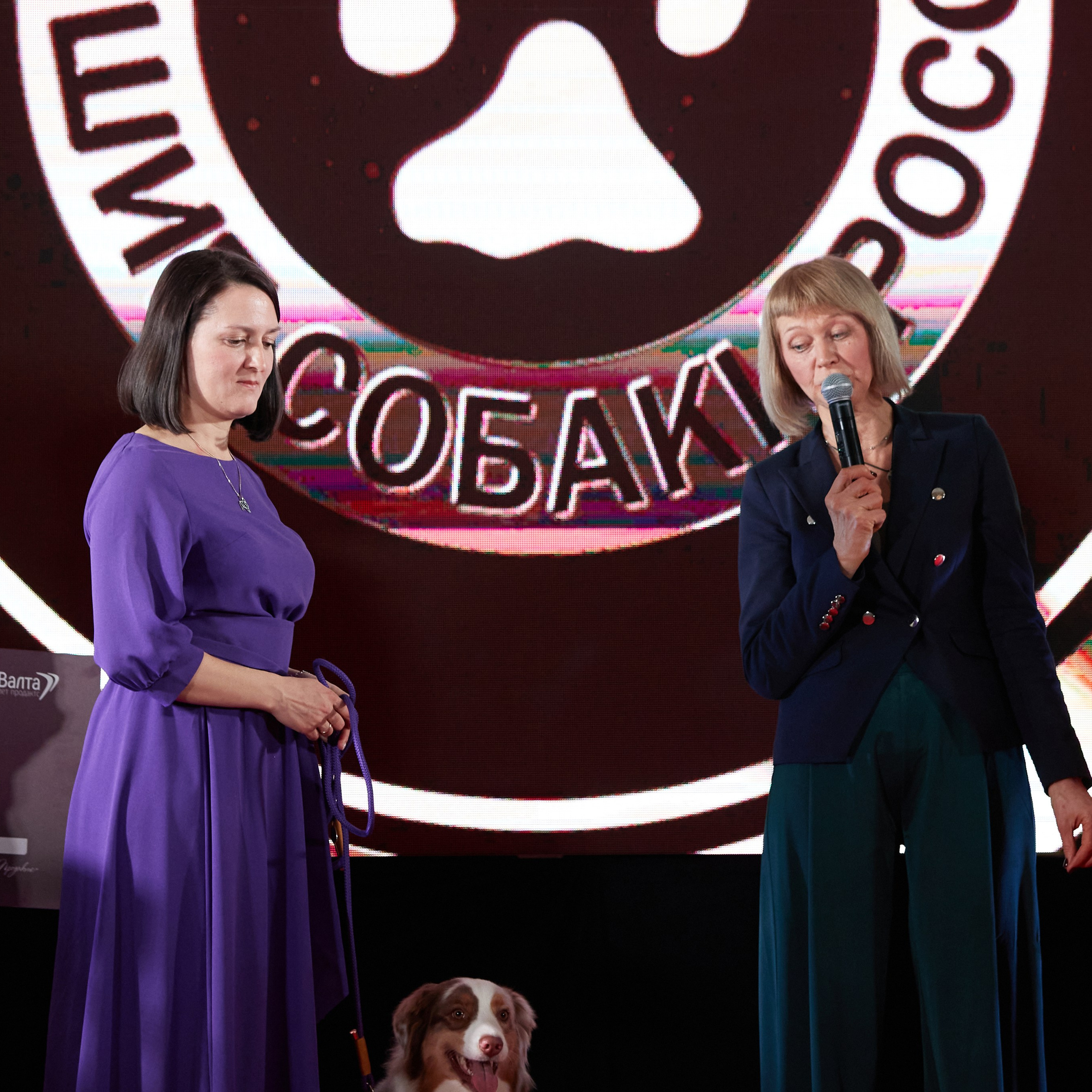 Репортаж с церемонии «BEST RUSSIAN DOG 2023». ФОТОГРАФ-АНИМАЛИСТ l LANA POLYAKOVA