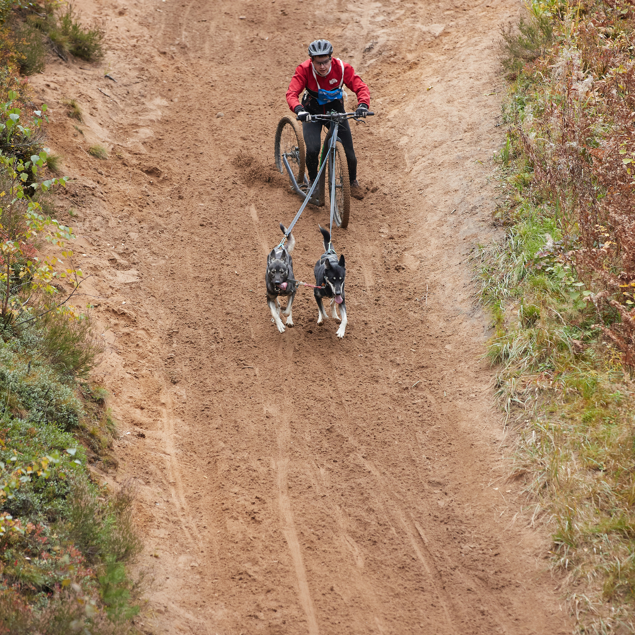 ЧЕМПИОНАТ РОССИИ РКФ 25–26 сентября 2021 г. ФОТОГРАФ-АНИМАЛИСТ l LANA POLYAKOVA